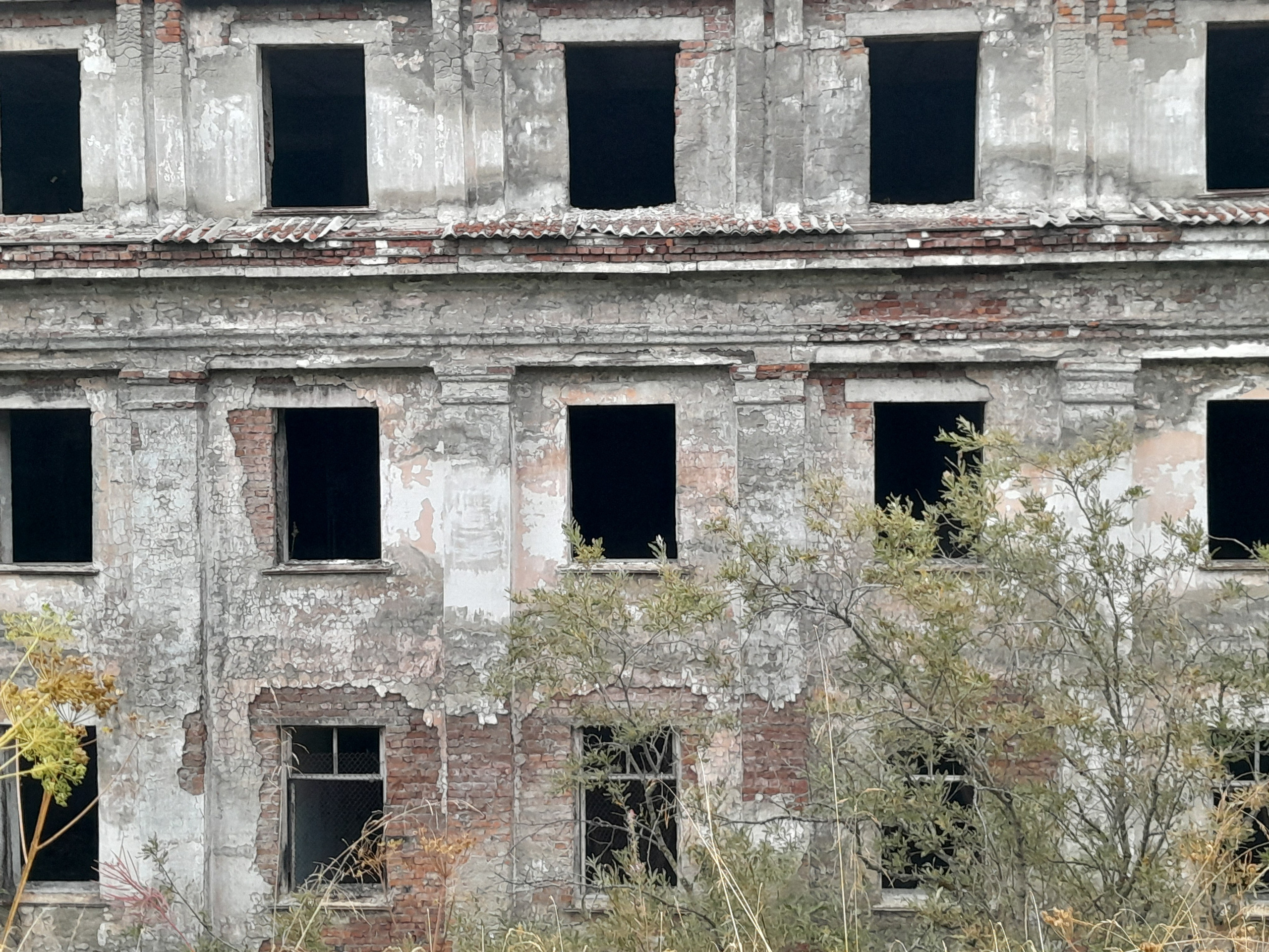 Vorkutinskoe. Анна Мильч