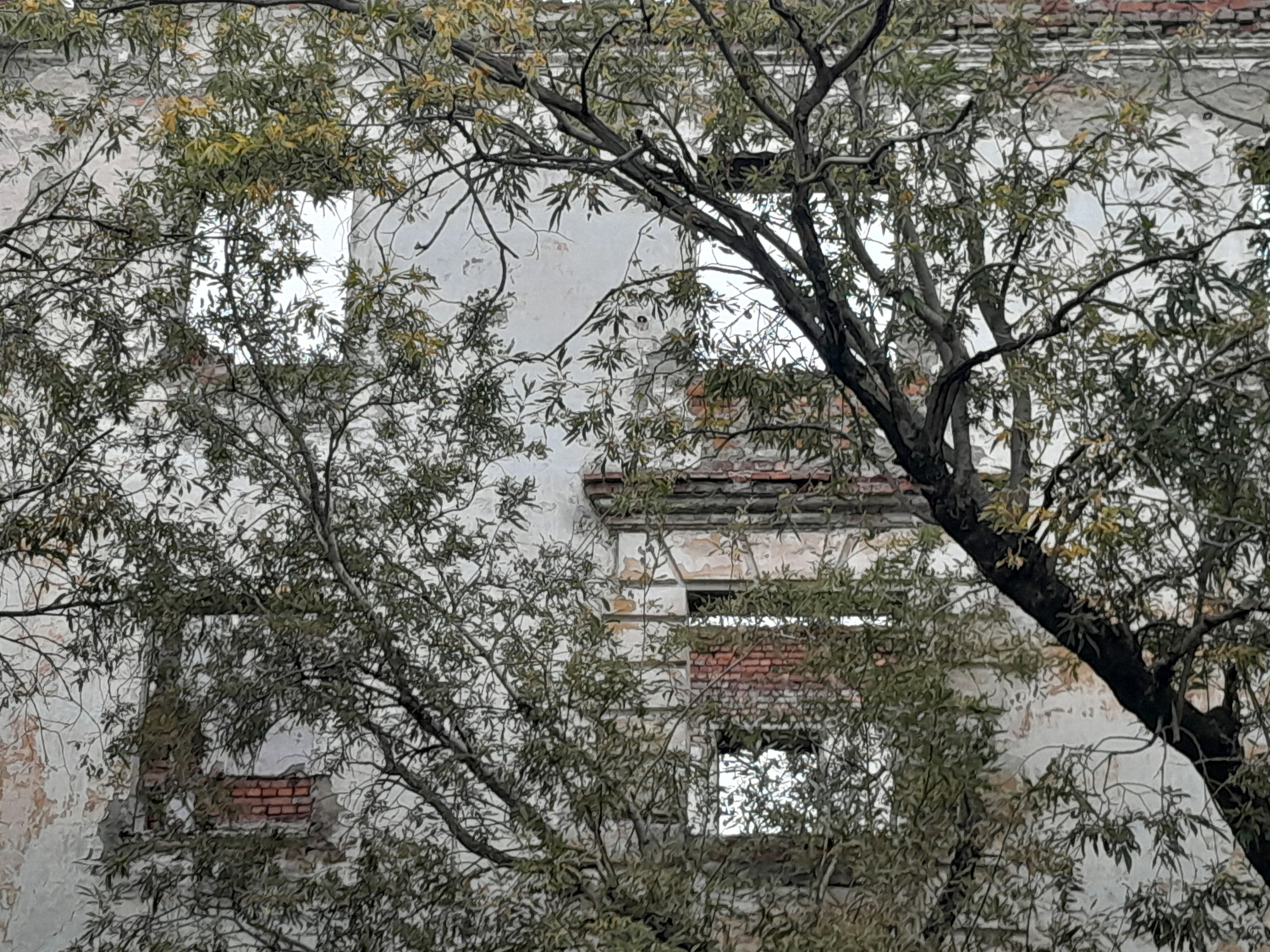 Vorkutinskoe. Анна Мильч