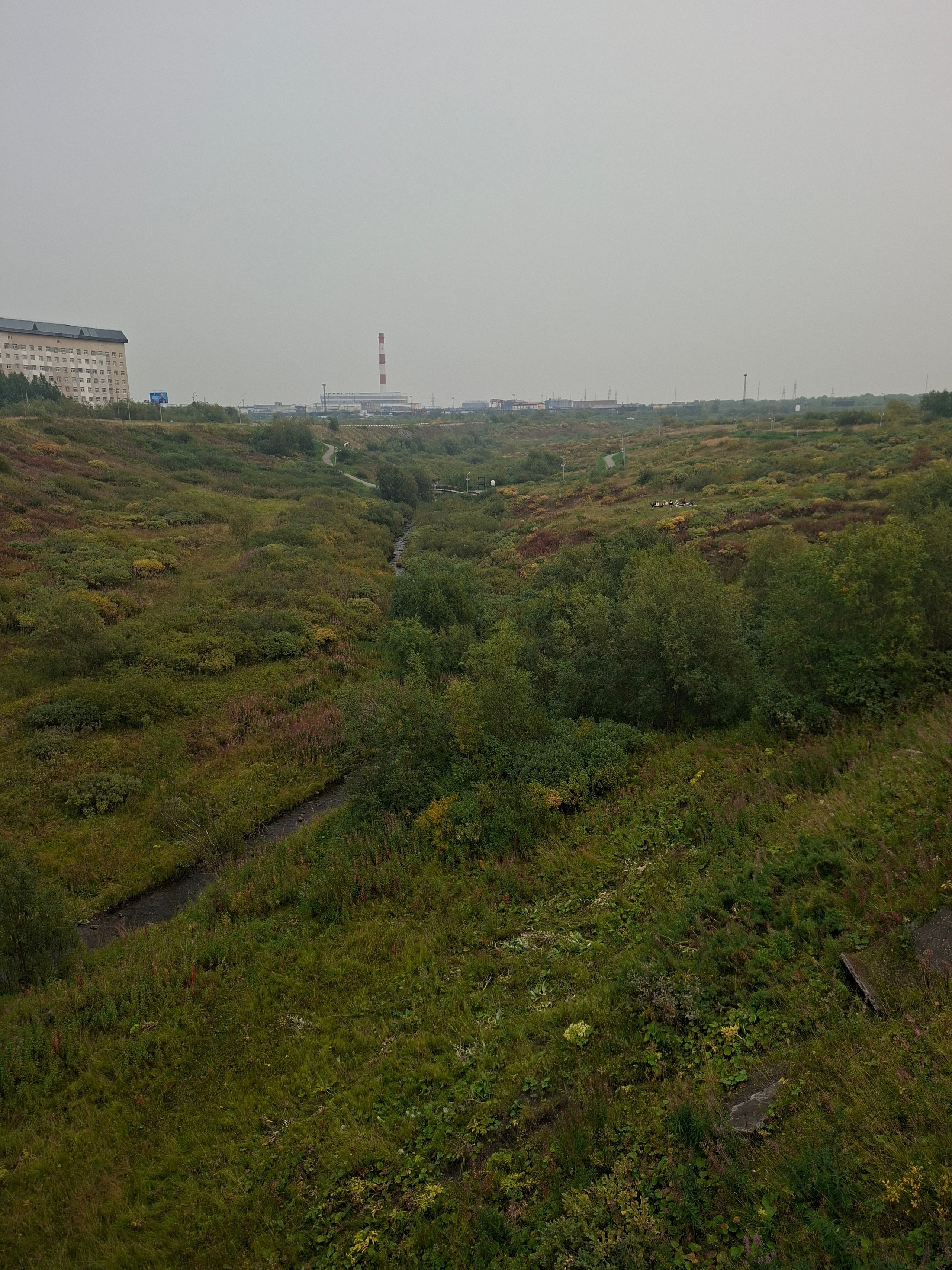 Vorkutinskoe. Анна Мильч