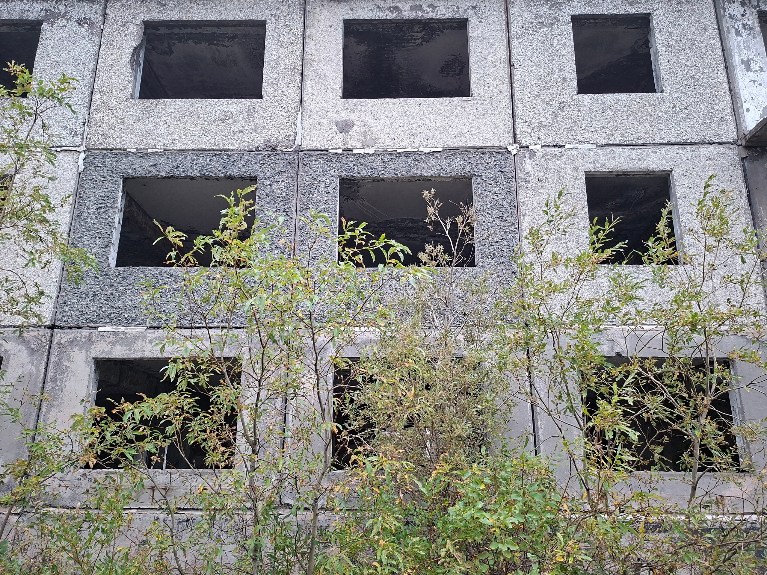 Vorkutinskoe. Анна Мильч