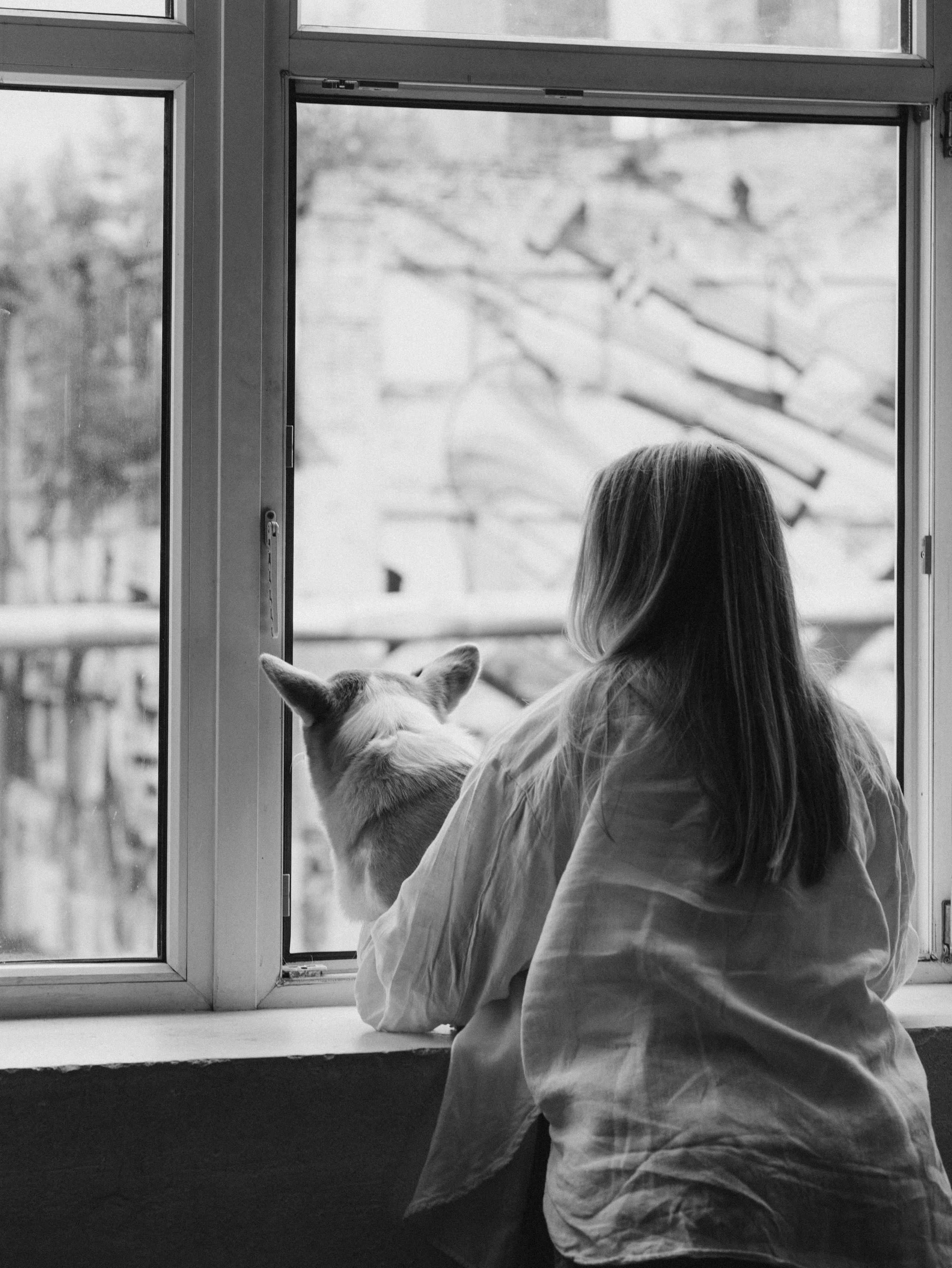 Оливка и Ника. Фотограф-анималист в Москве Кириллова Татьяна