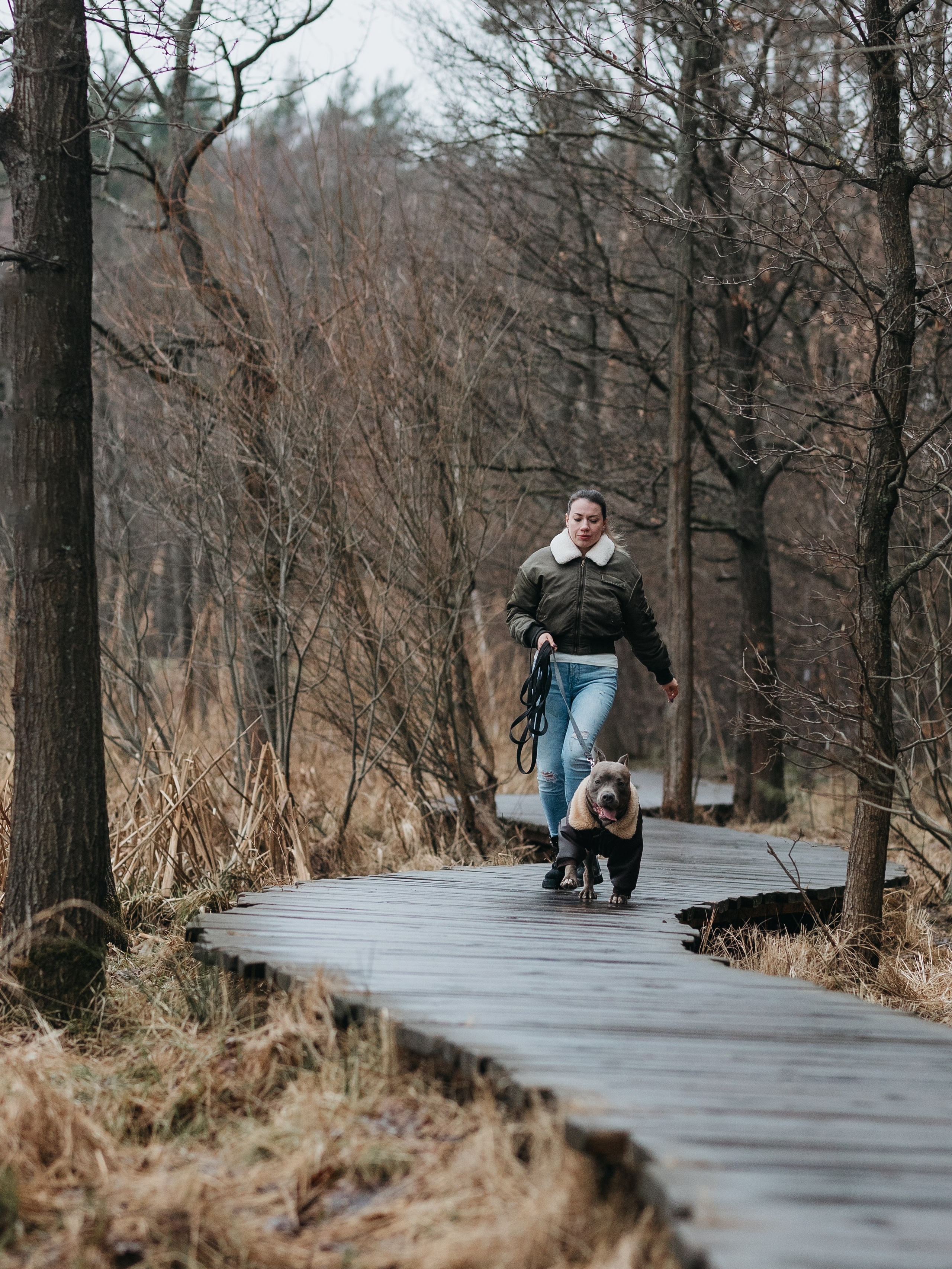 Зевс и Мария. Фотограф-анималист в Москве Кириллова Татьяна