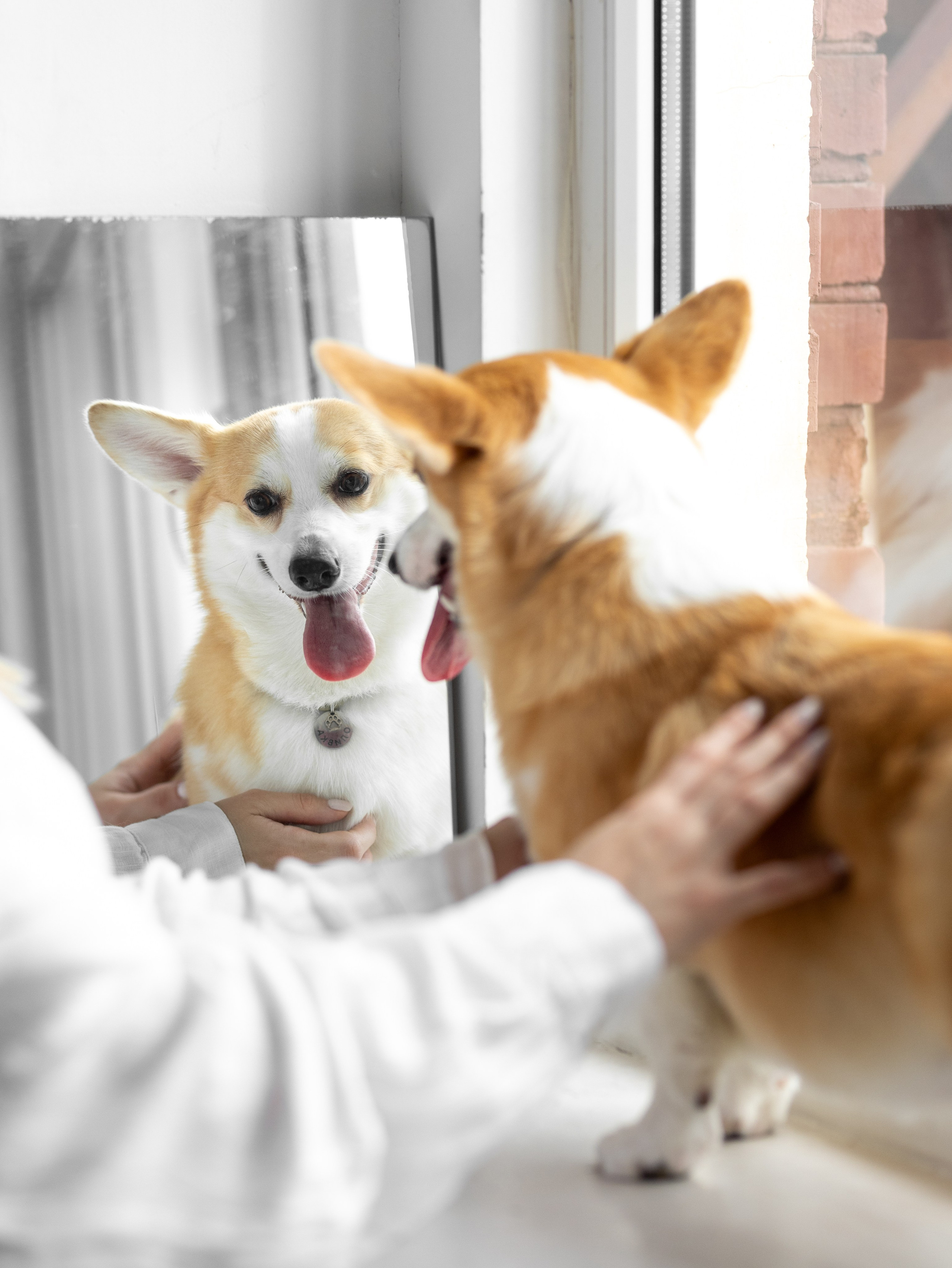 Оливка и Ника. Фотограф-анималист в Москве Кириллова Татьяна