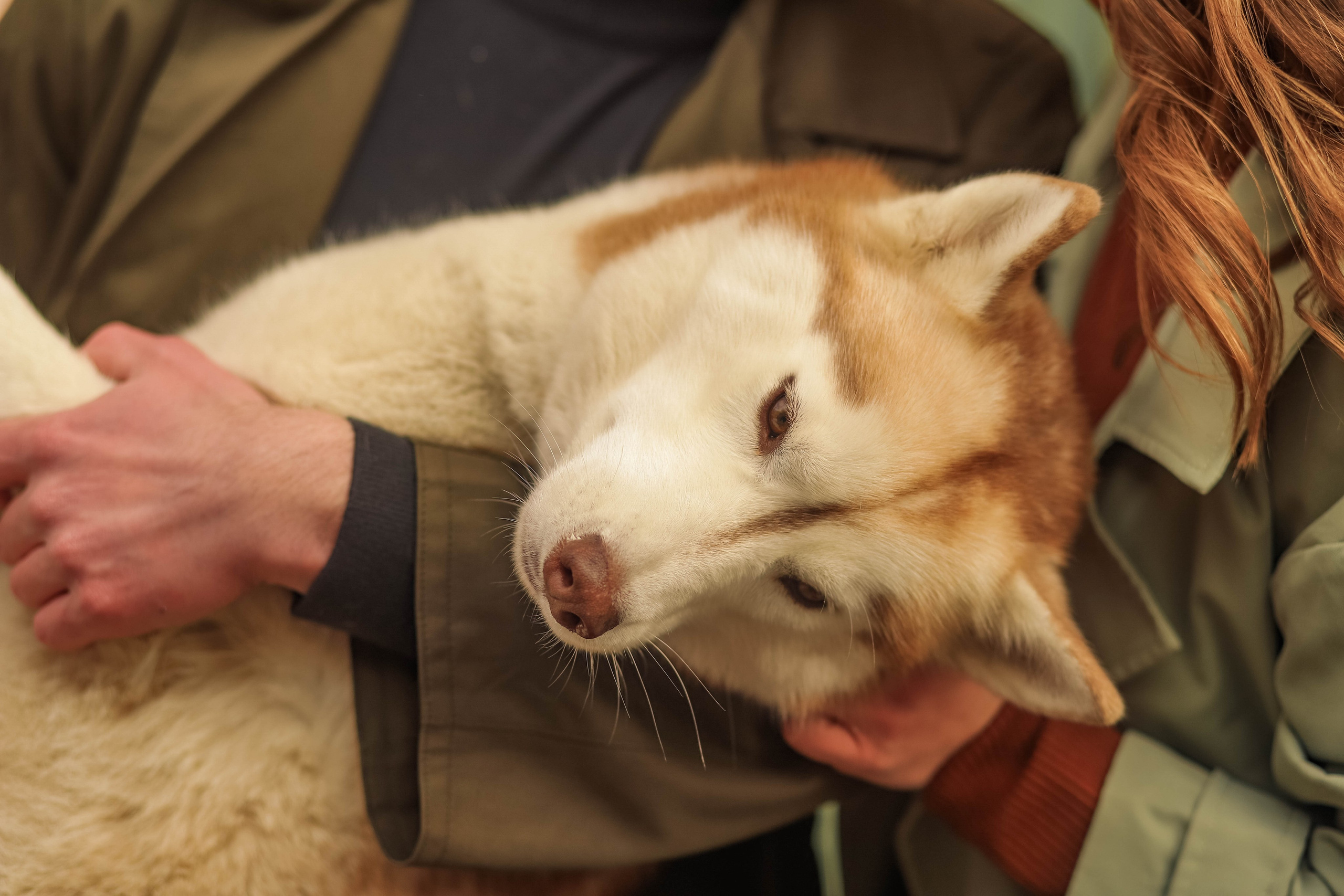 Лавстори. Семейный свадебный интерьерный фотограф Тверь Санкт- Марина Свистунова