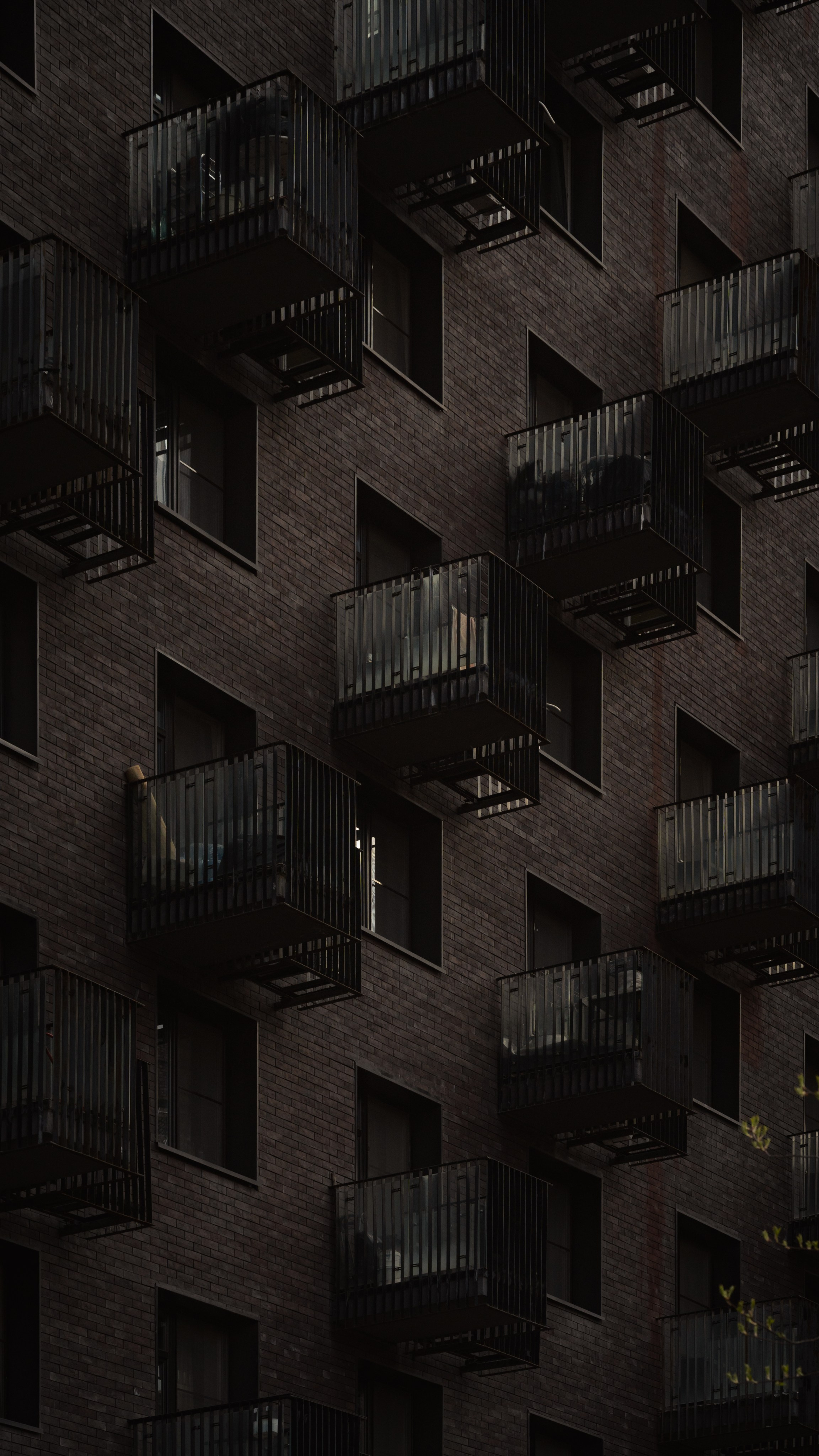 Discovering Rhytms. MadGoose — Street photographer