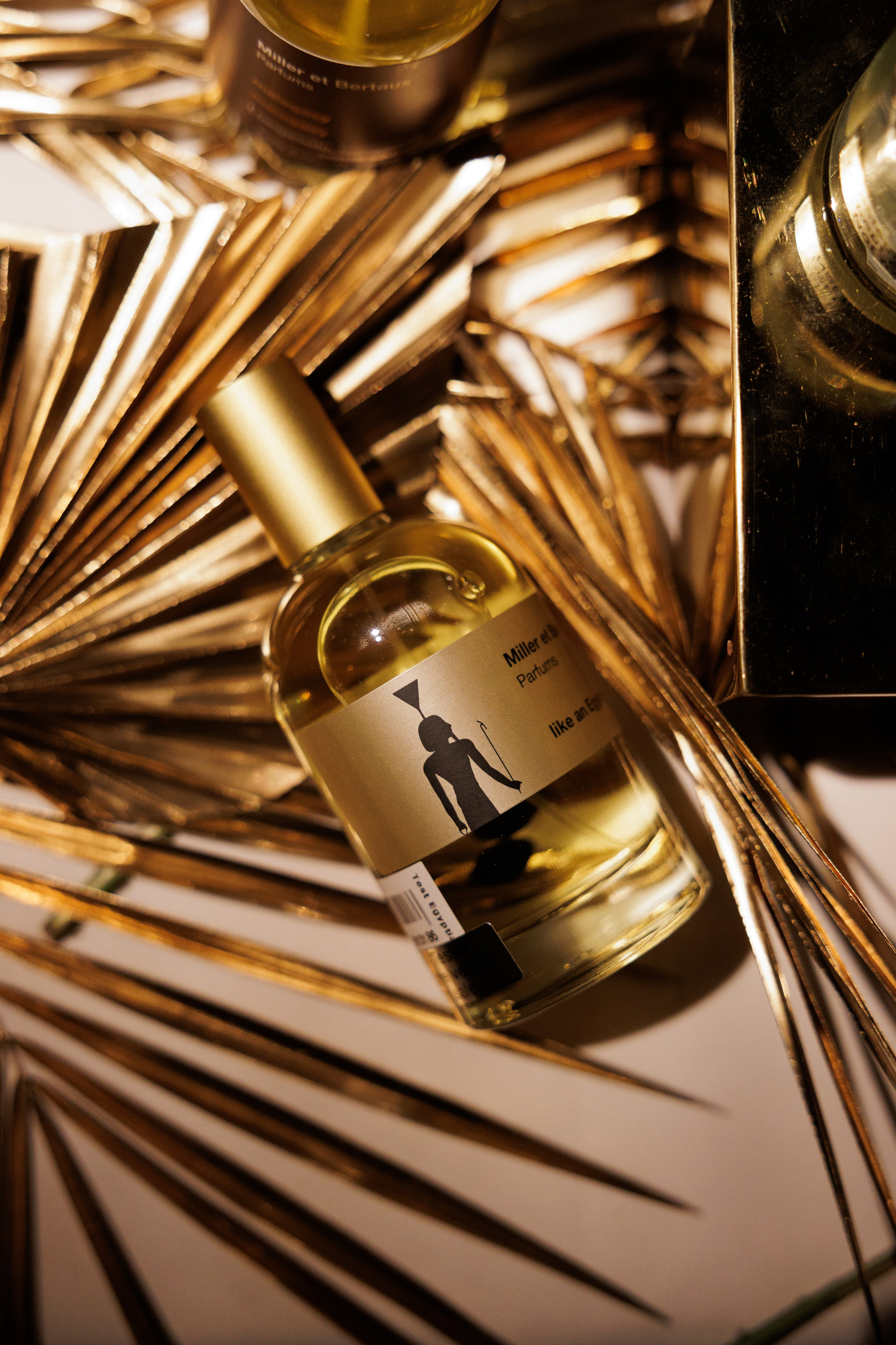 Miller et Bertaux. Светский фотограф — Анисина Ирина