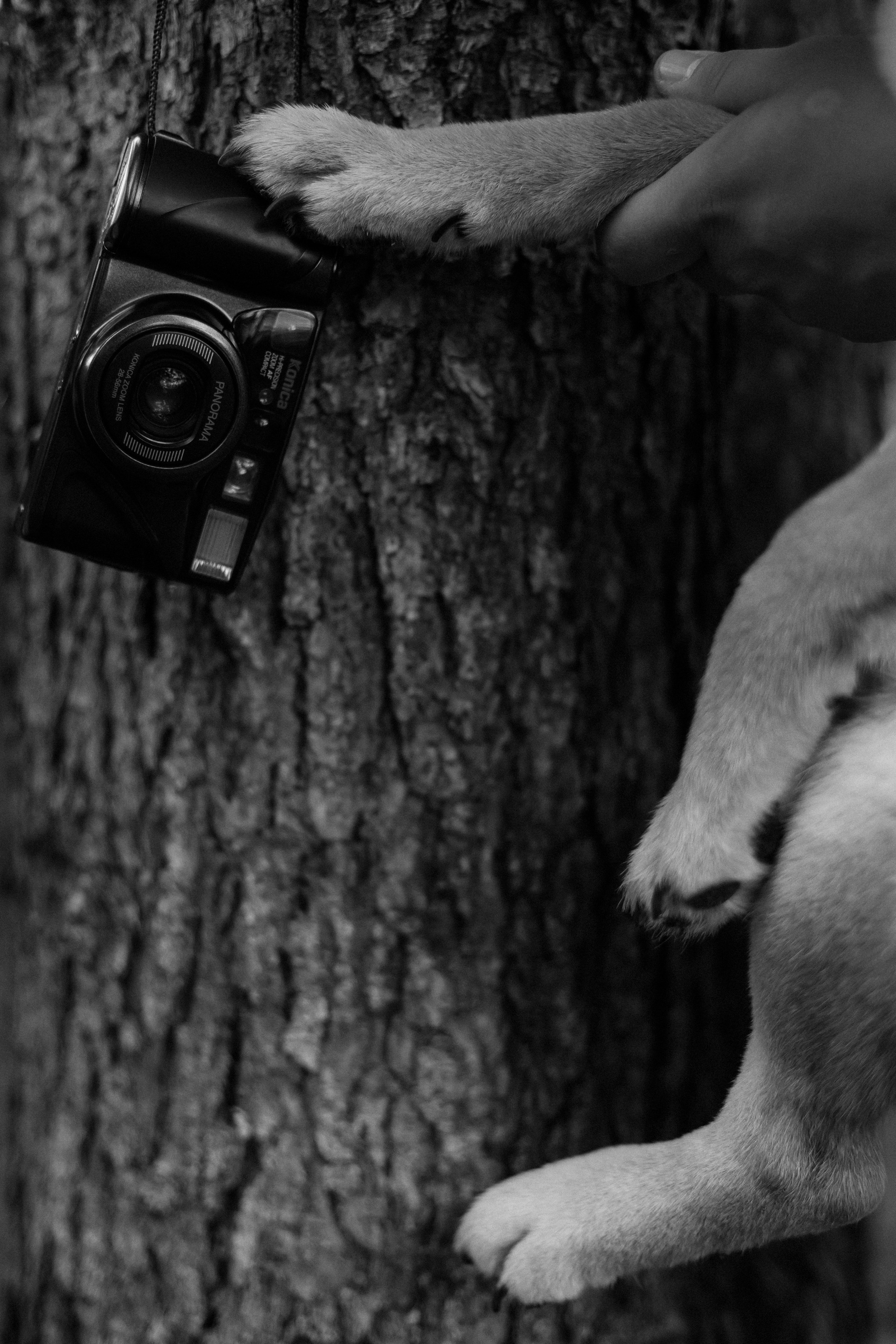 «Теплое воспоминание». Свадебный и семейный фотограф в Якутске — Дьулусхан Прокопьев