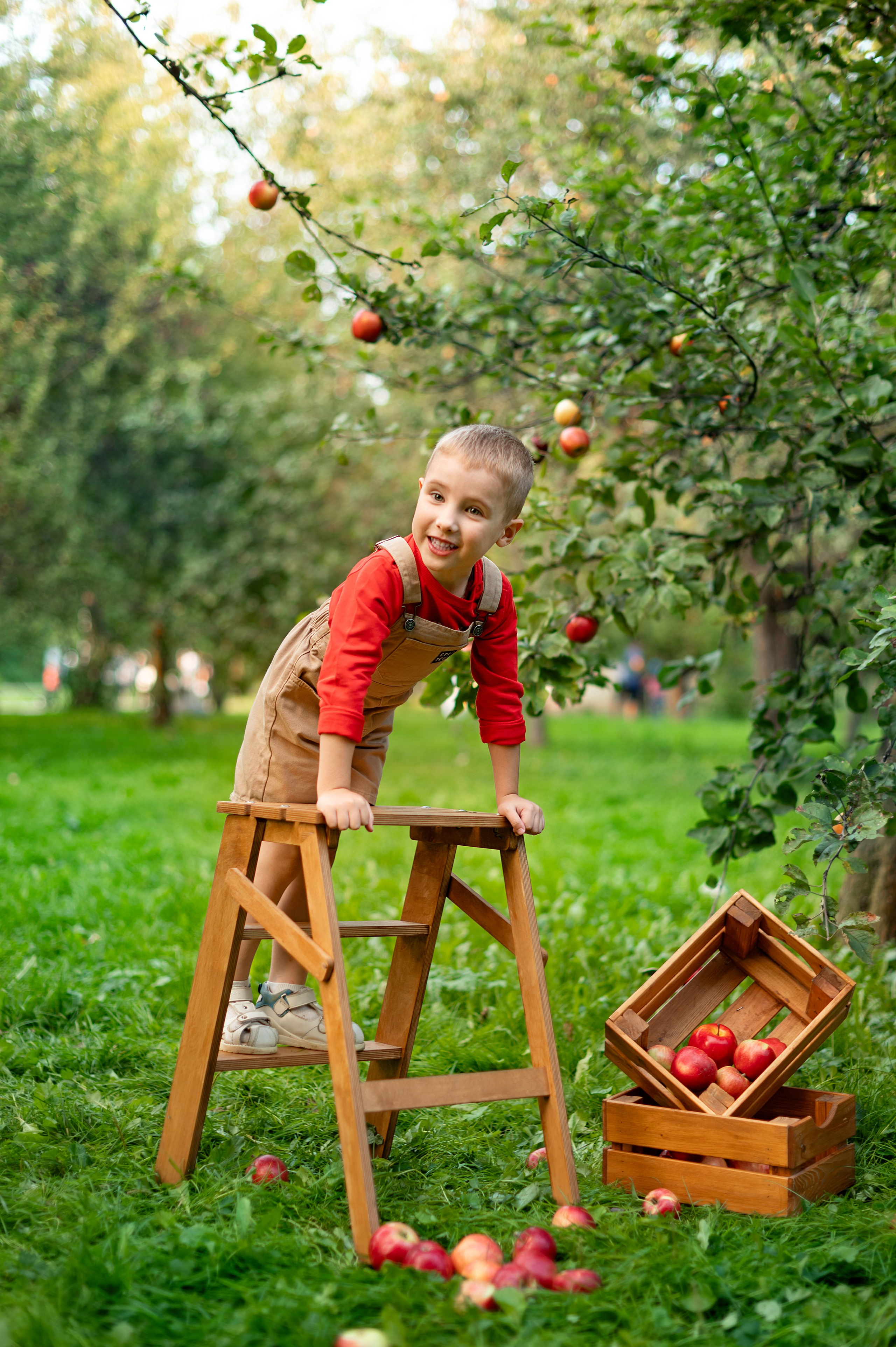 Яблоки. Детский и семейный фотограф г. Москва Оксана Катаджи