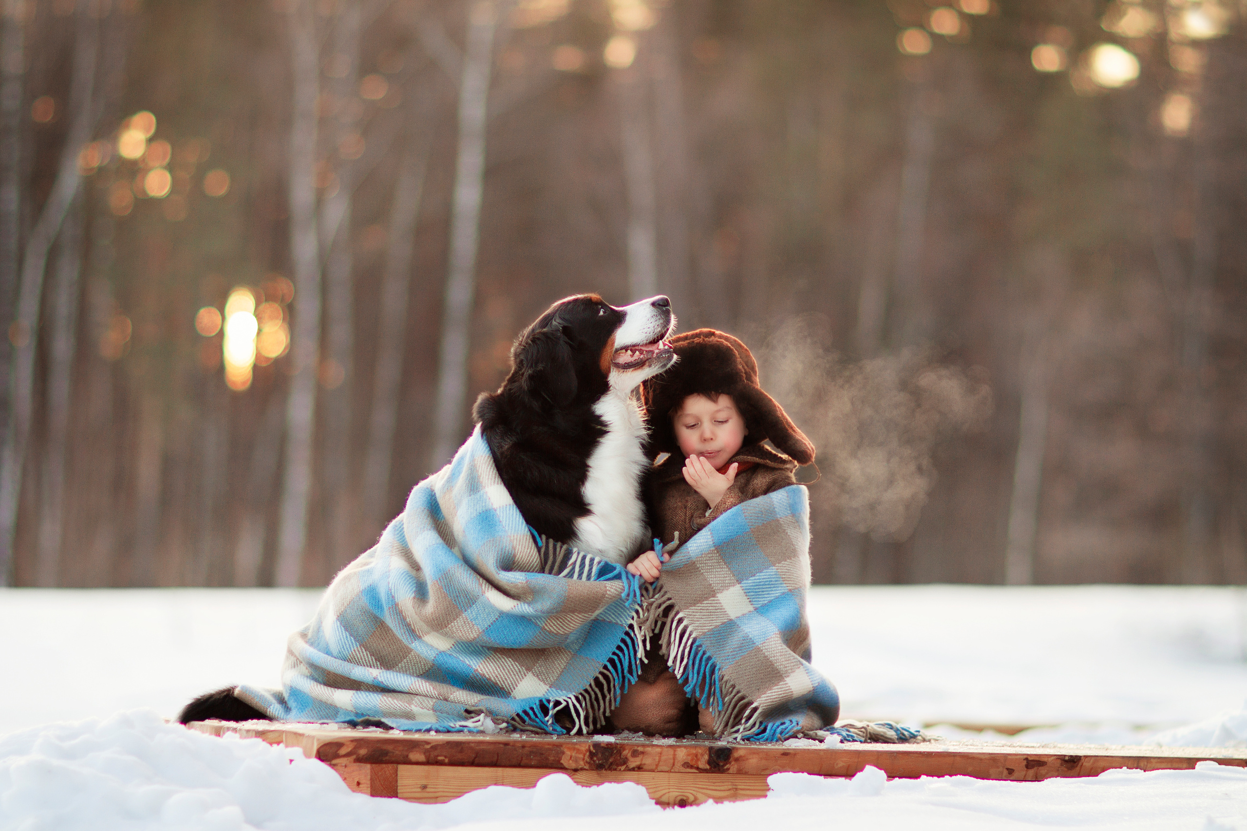 Фотосессия с животными в Москве. Детский и семейный фотограф в Москве Лина Левина