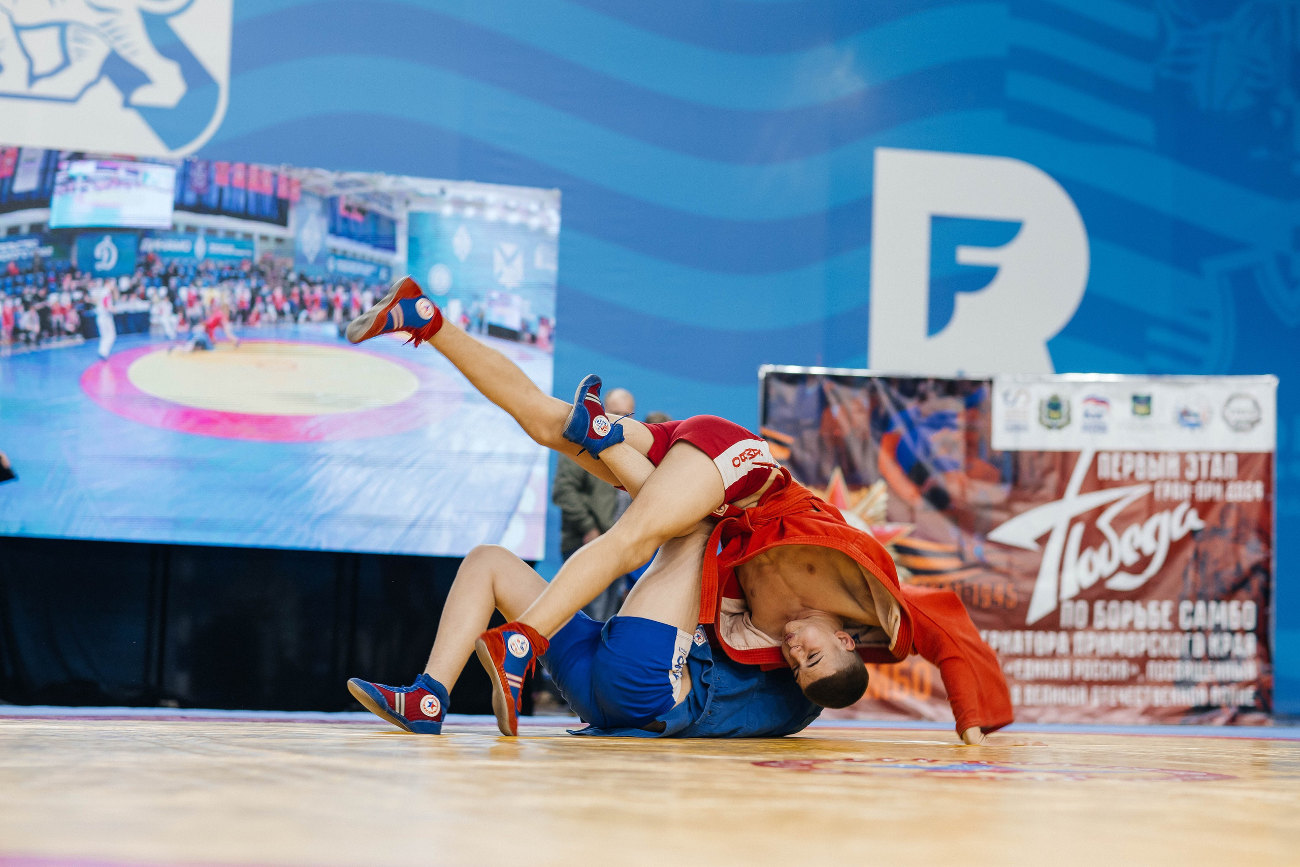 Sambo Championship. Maxim Tsoy Photography