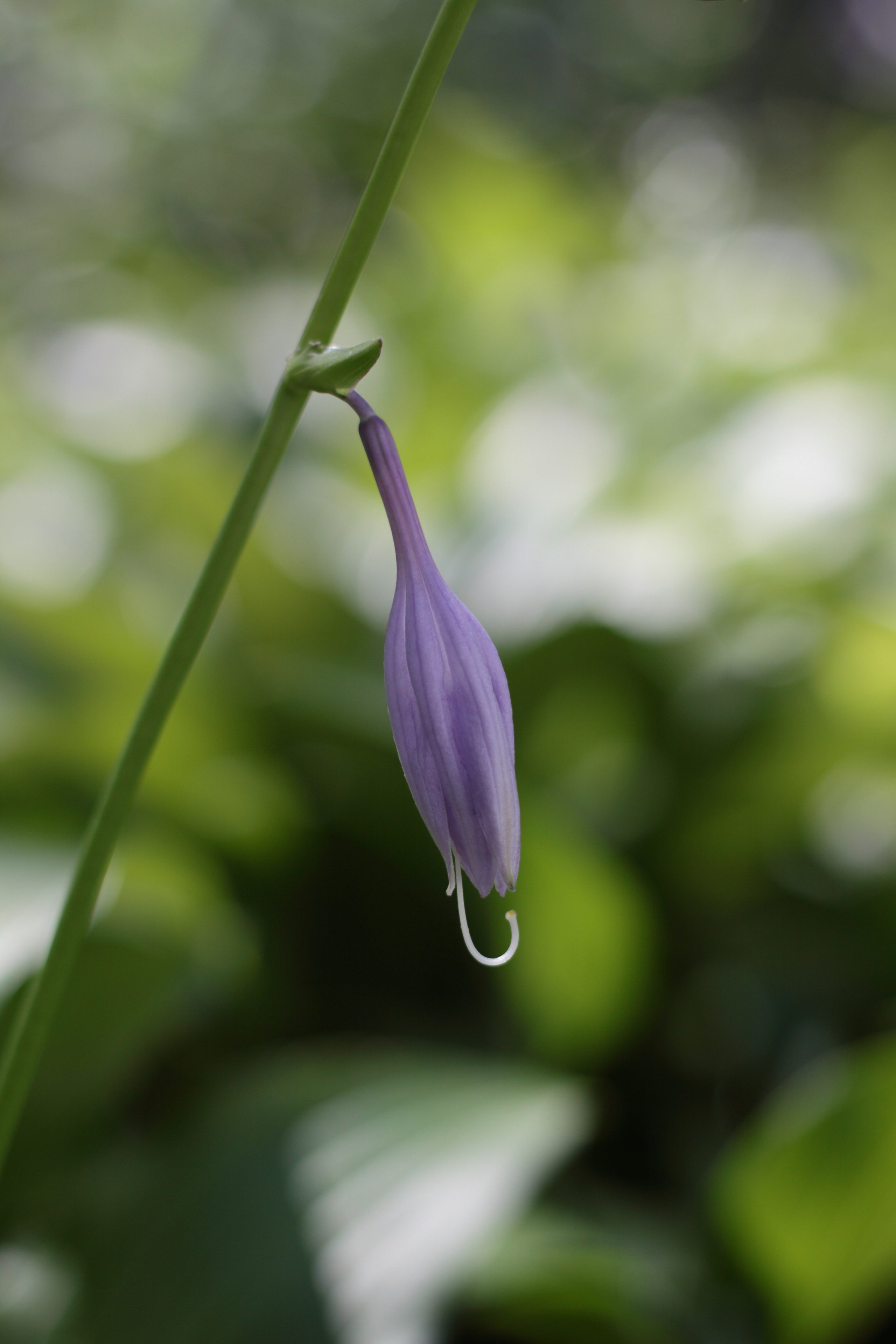 Старое природное, отбирала Katamount (Катерина Горохова). Главная