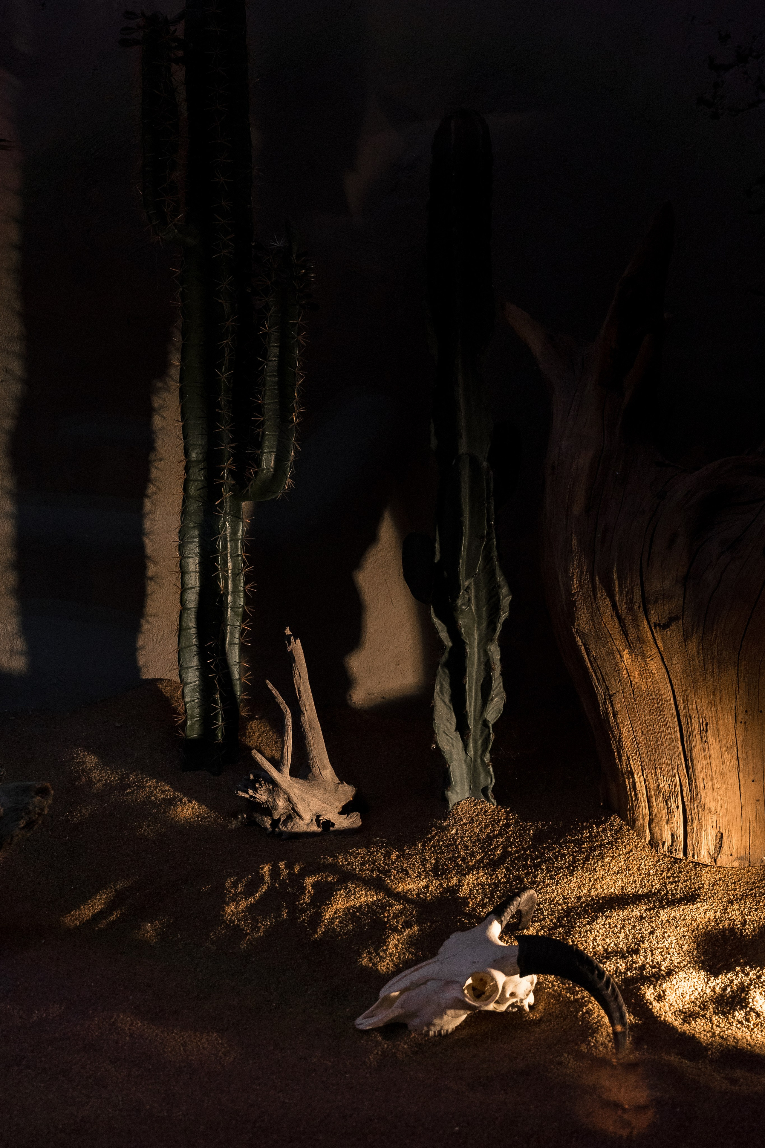 Yucca Bar. Klauzevits Workshop