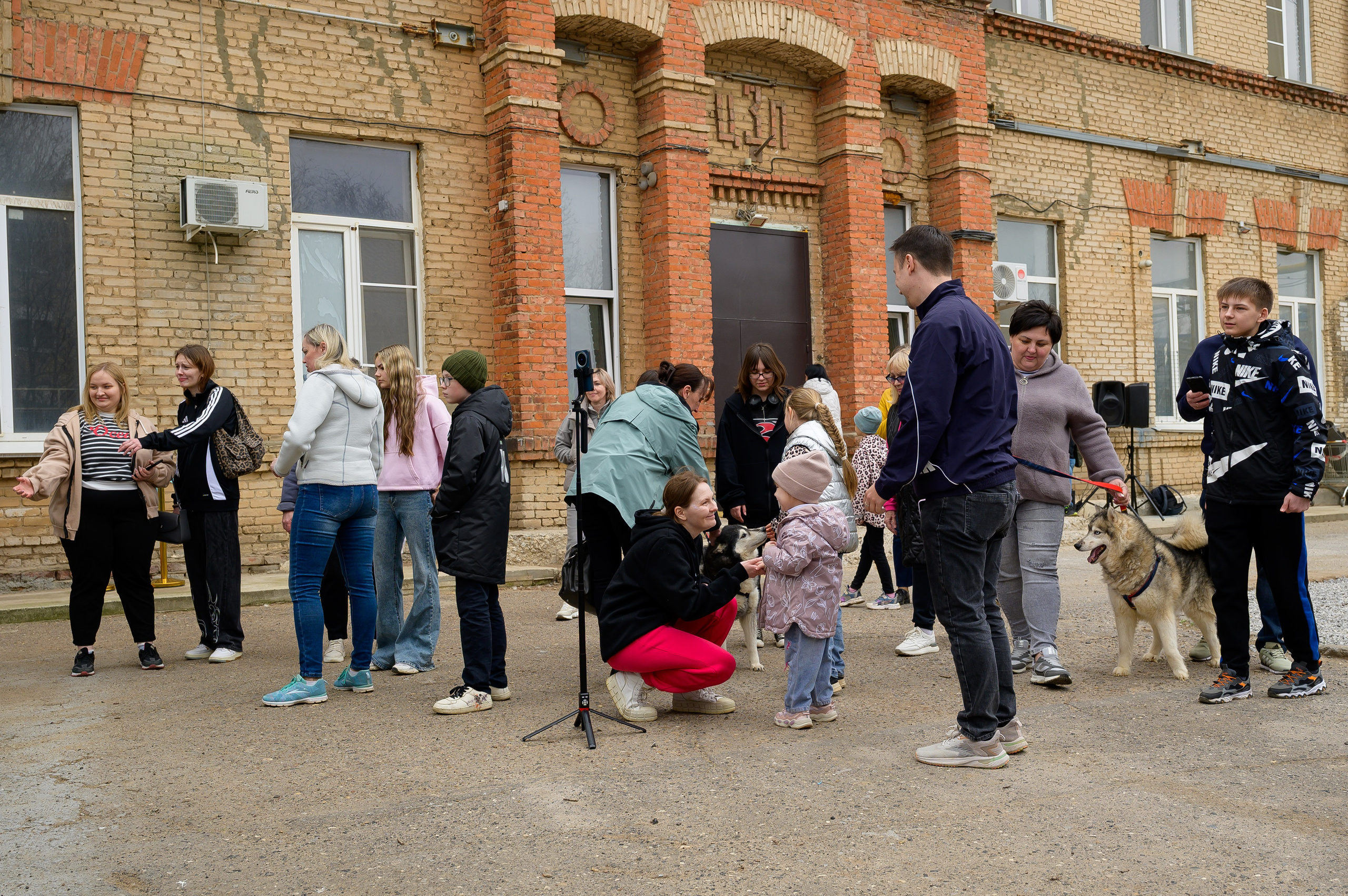 Открытие приюта для собак породы Хаски «Хаски дом»