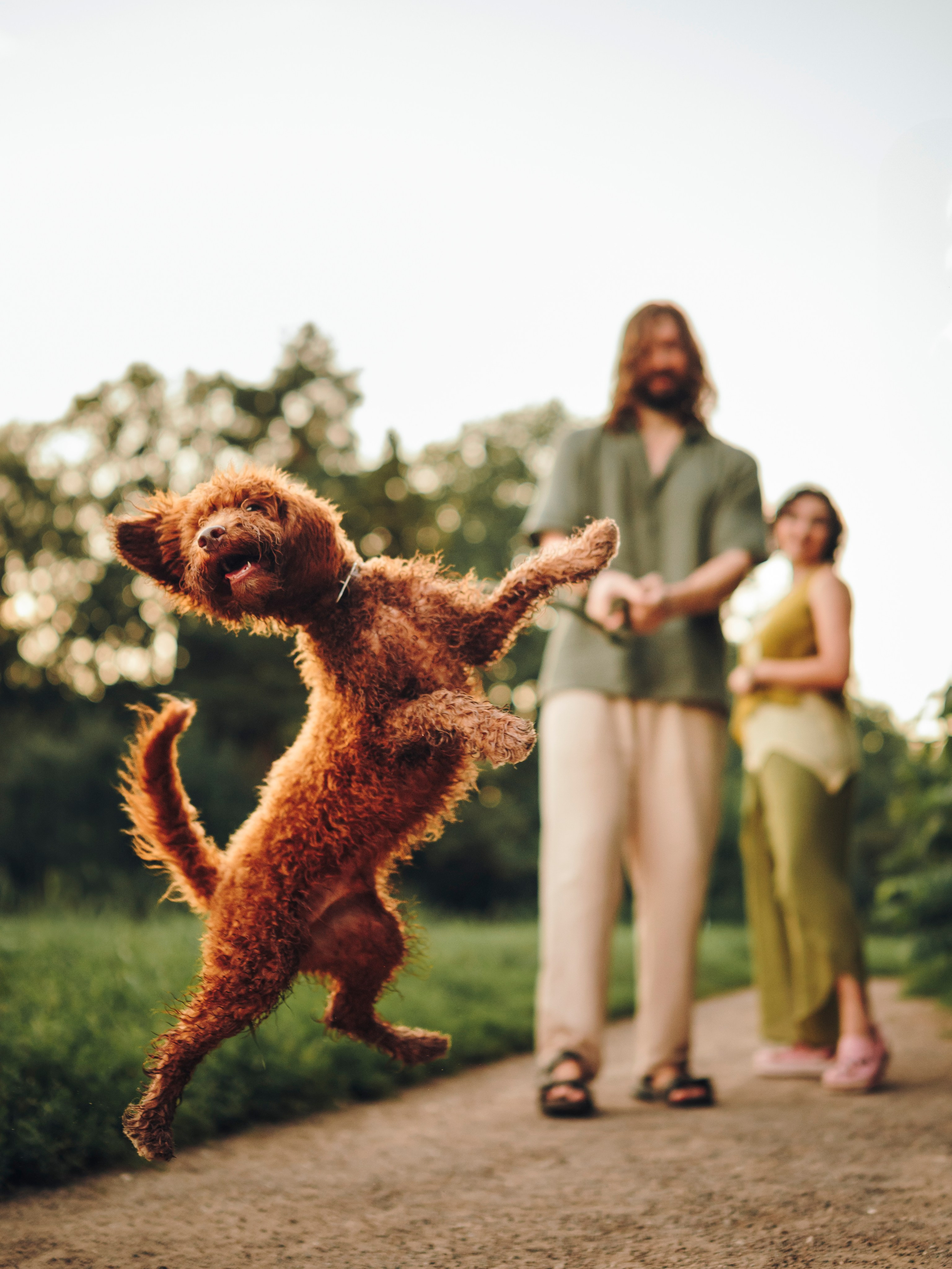 Марина, Тарас и Хагрид. Семейный фотограф анималист Ананьева Мария — Москва