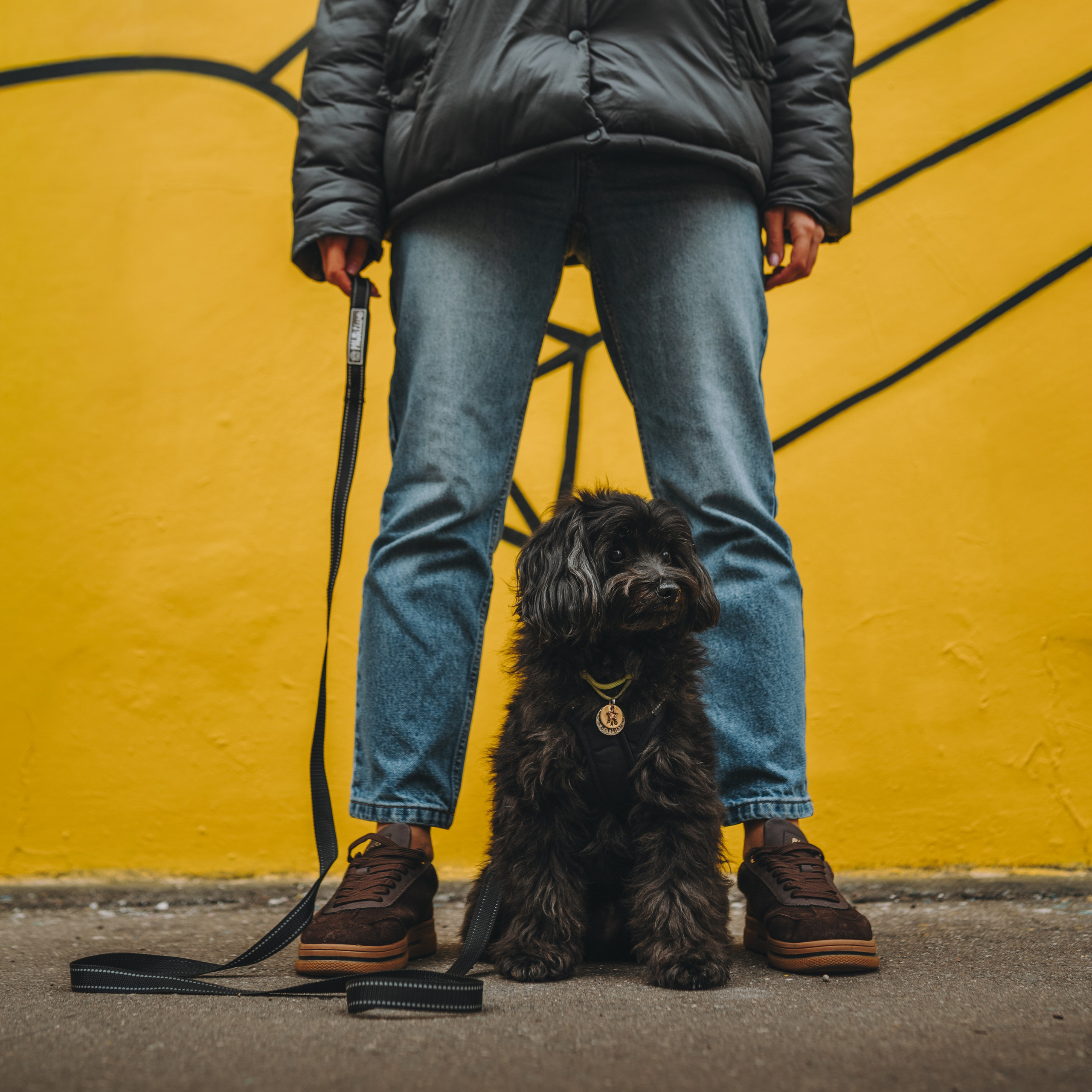 Pawsitive. Семейный фотограф анималист Ананьева Мария — Москва