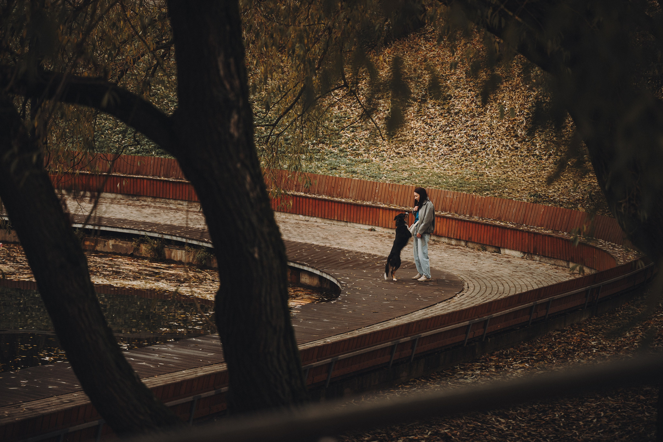 Аня, Оскар и Яр. Семейный фотограф анималист Ананьева Мария — Москва