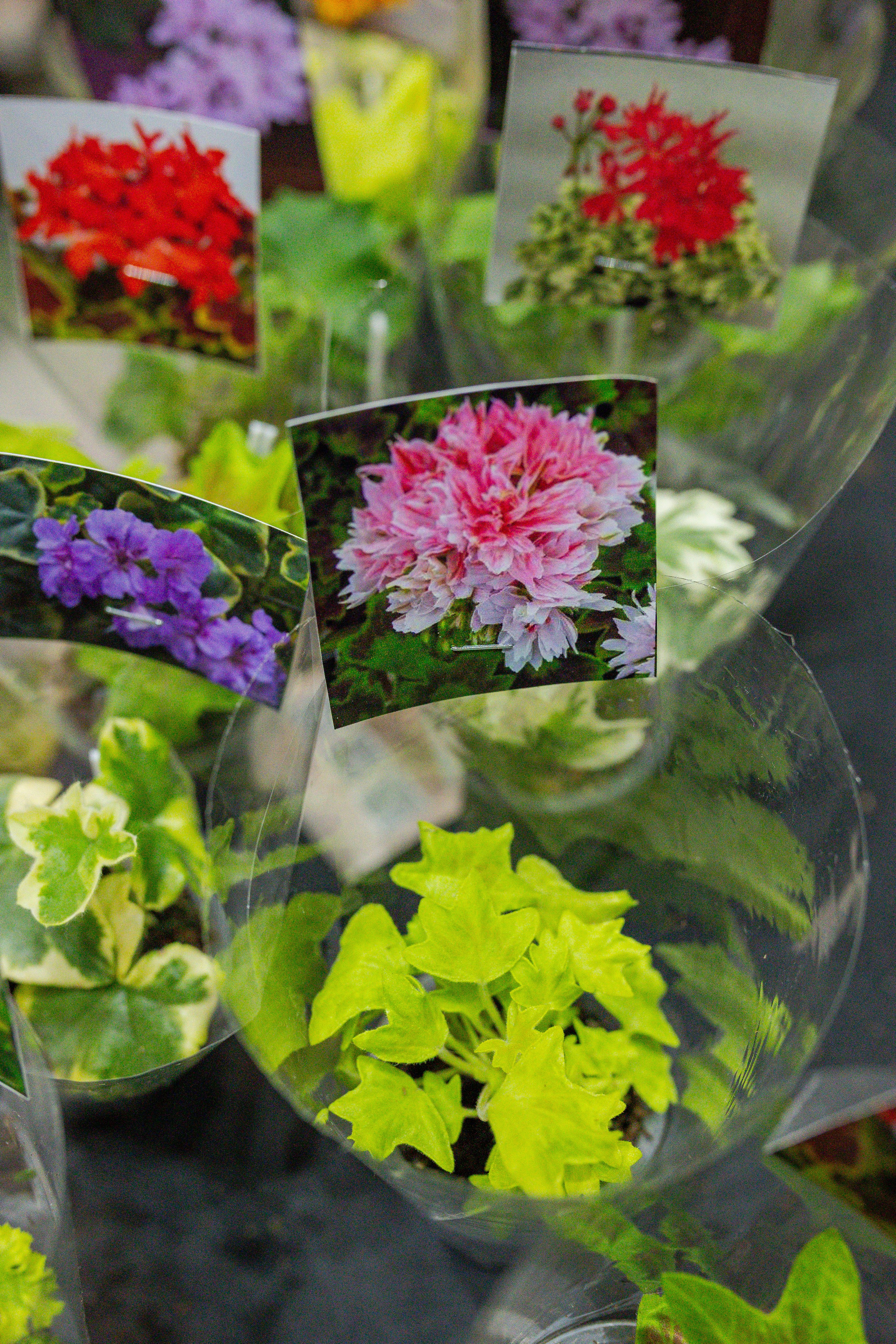 Монстериум апрель 2026. Александра Куликова фотограф, Москва