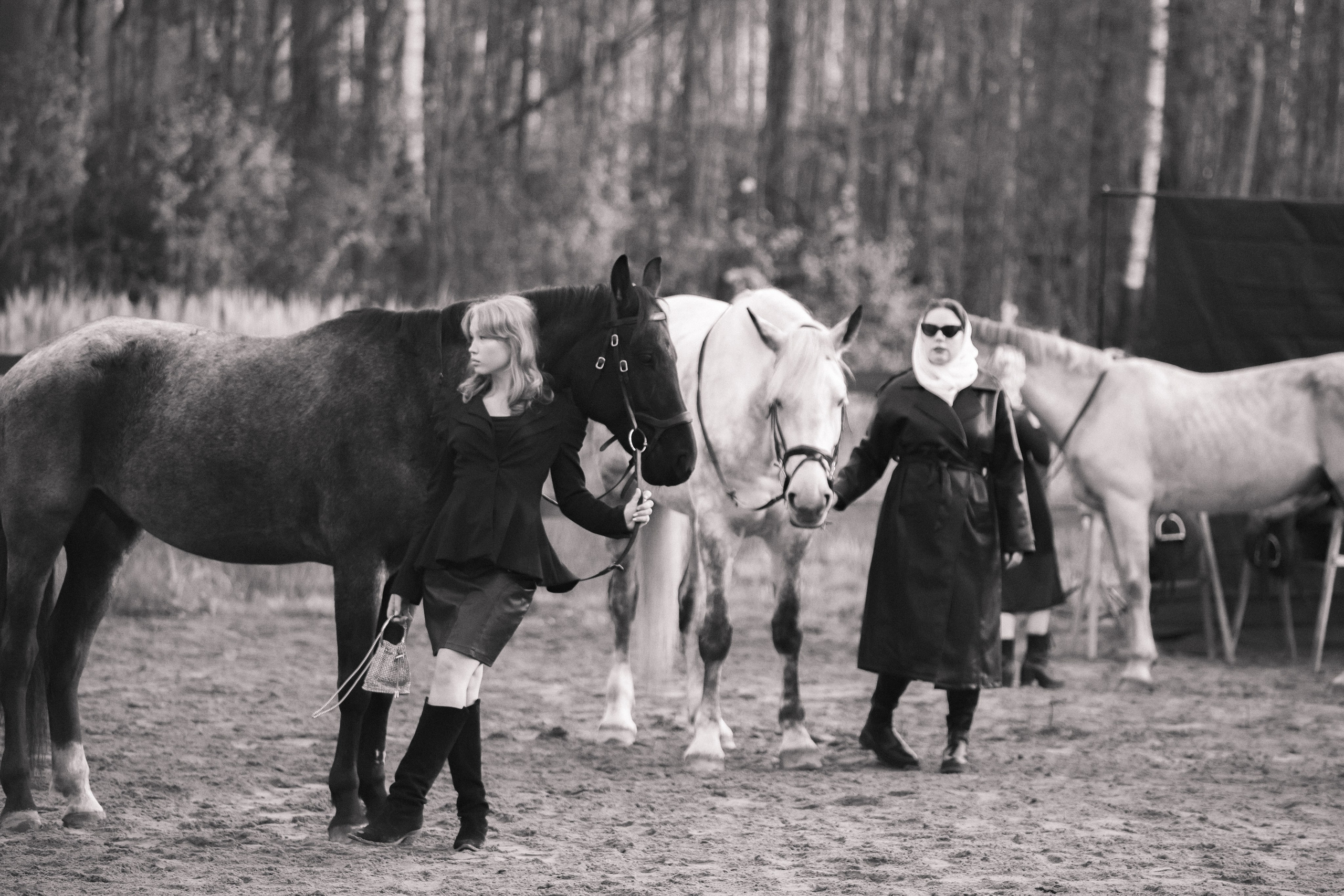 Проект DEFILE. Конный фотограф в Санкт-Петербурге Анна Лебедева