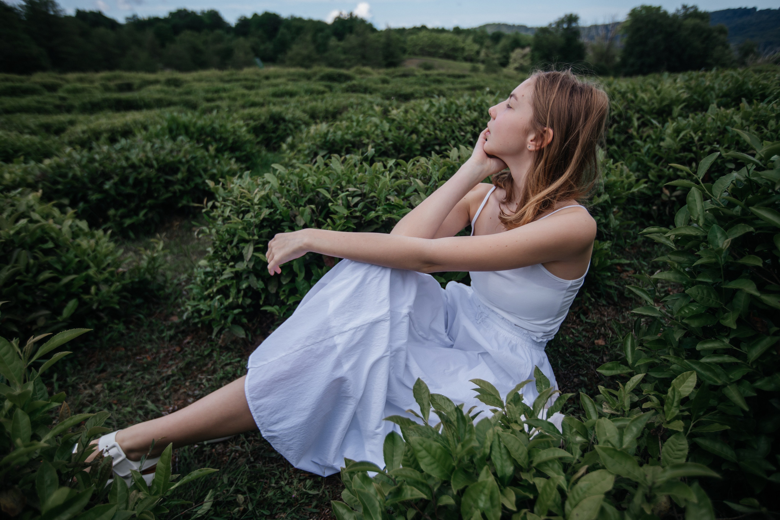 Tea plantation. Efimova Model Agency