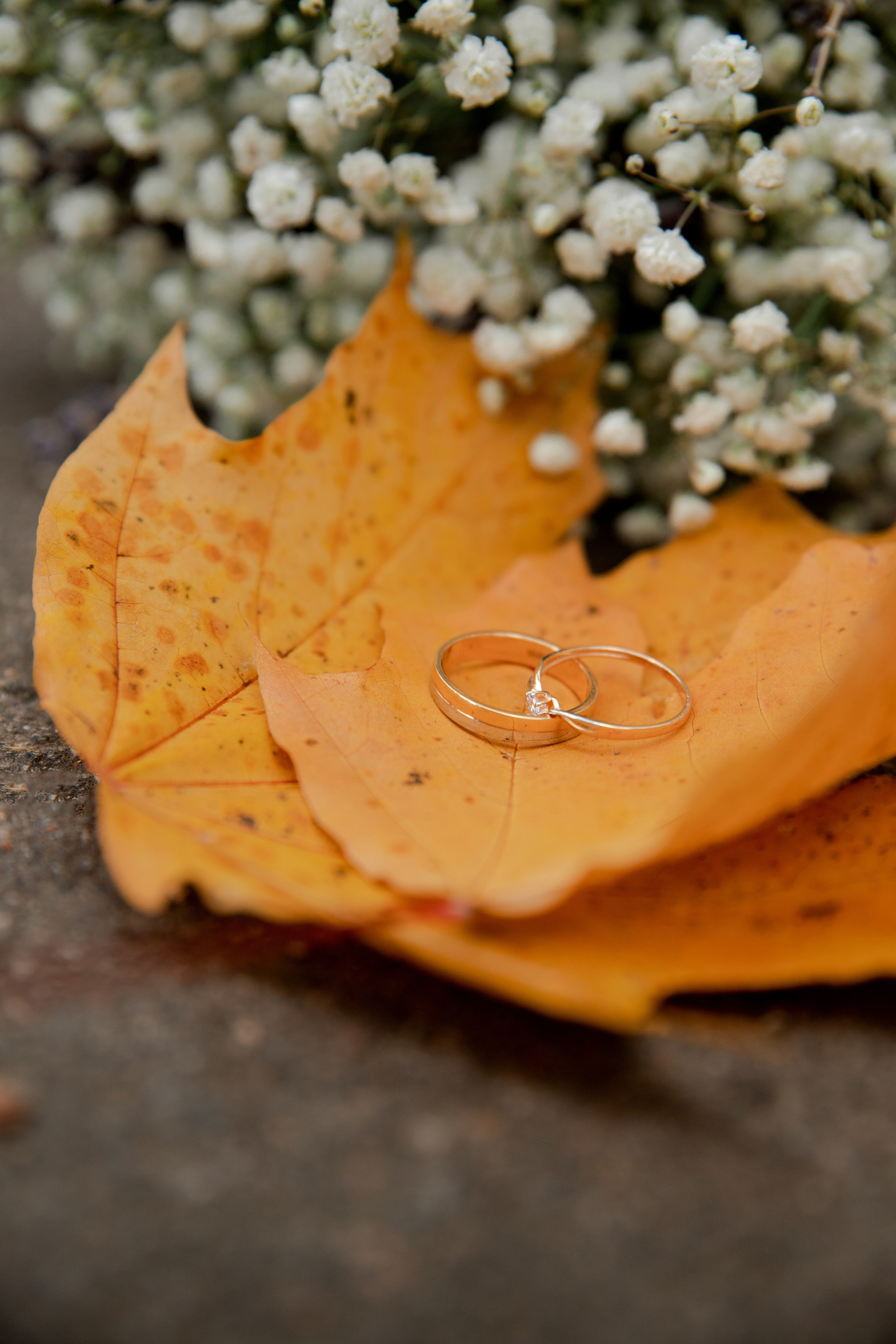 Екатерина и Артур. Свадебный и семейный фотограф СПБ