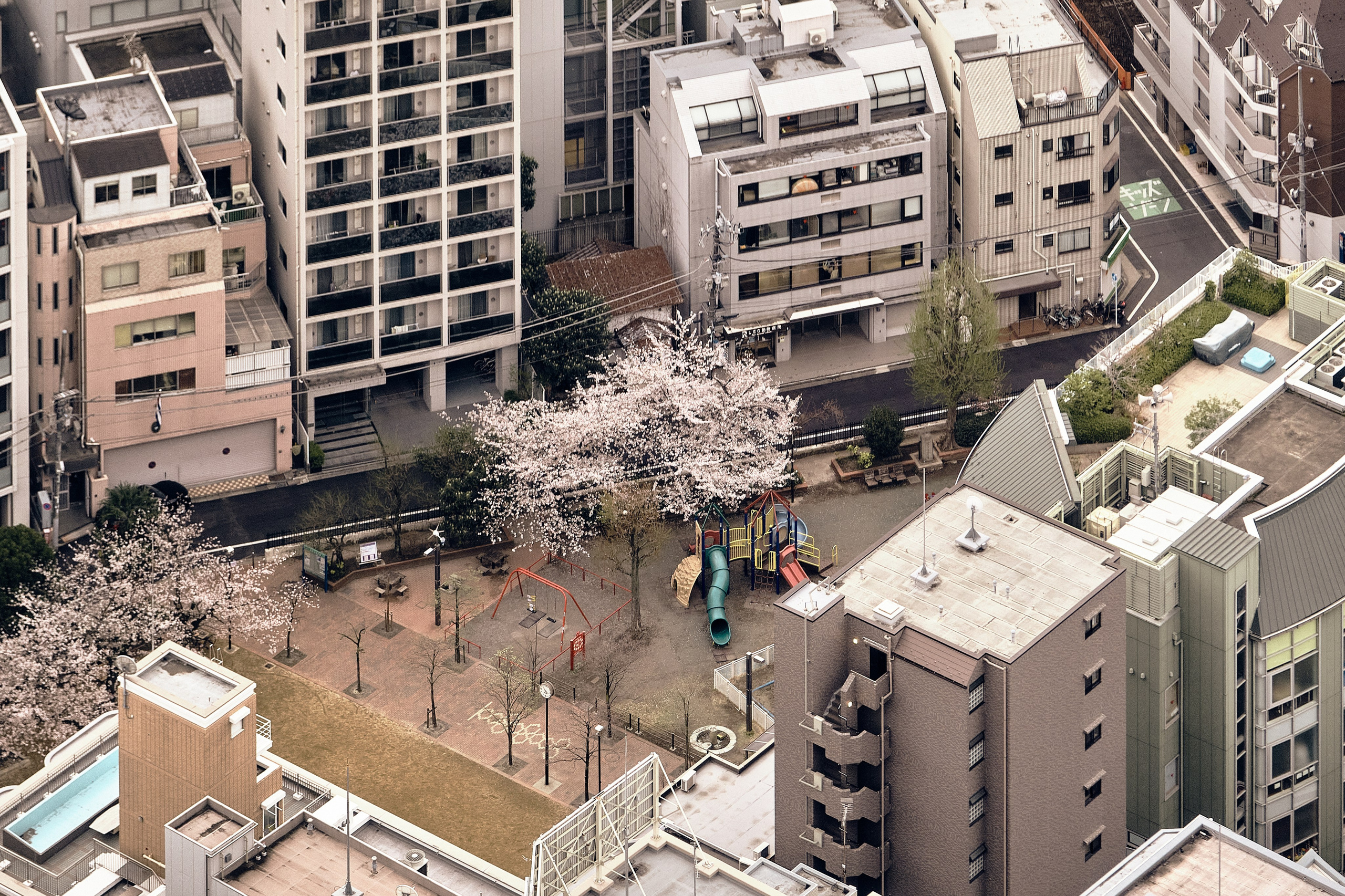 Japan / Osaka≫Kyoto≫Tokyo. Aleksandr Kobtsev