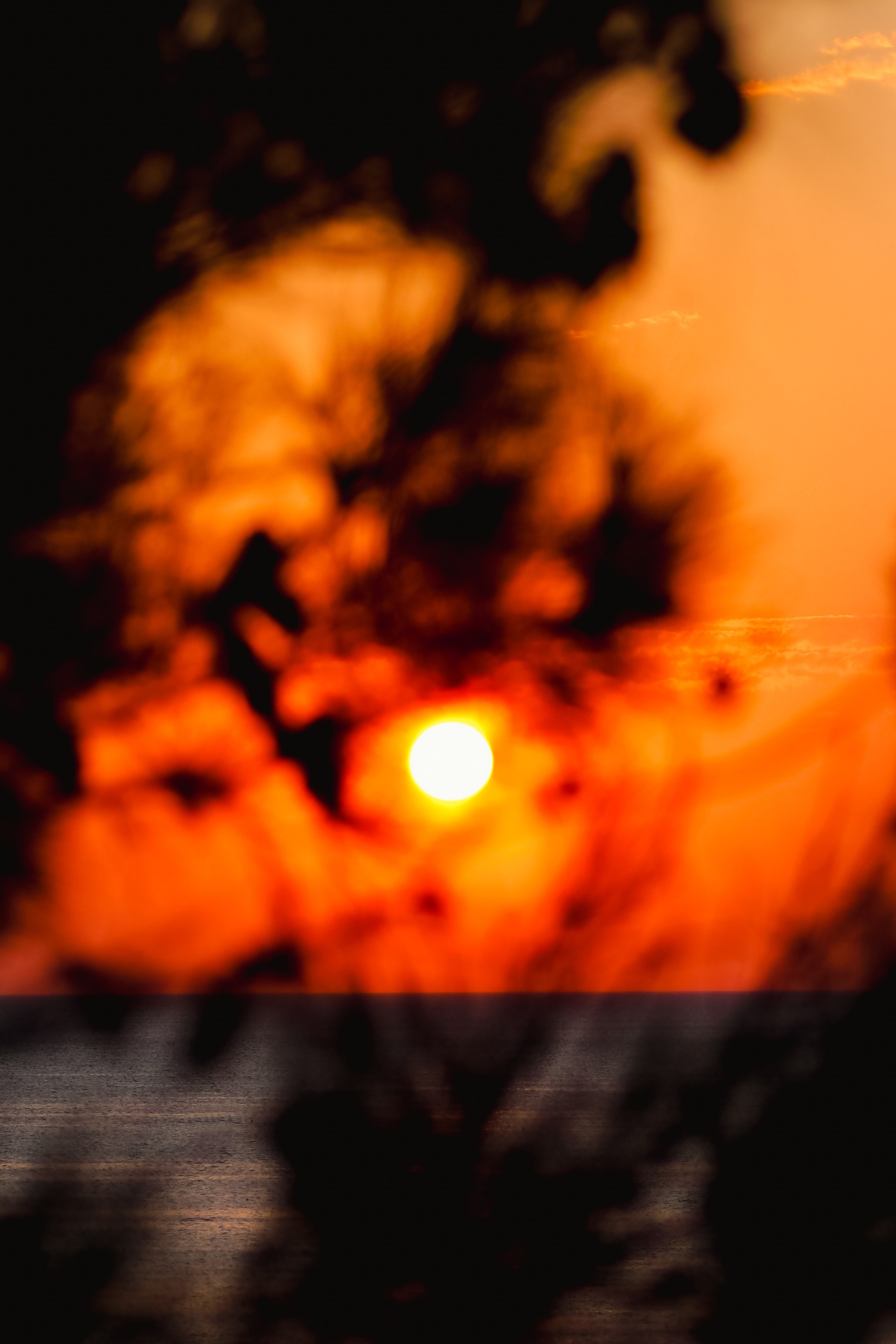 Черное море. Свадебный фотограф Копков Геннадий