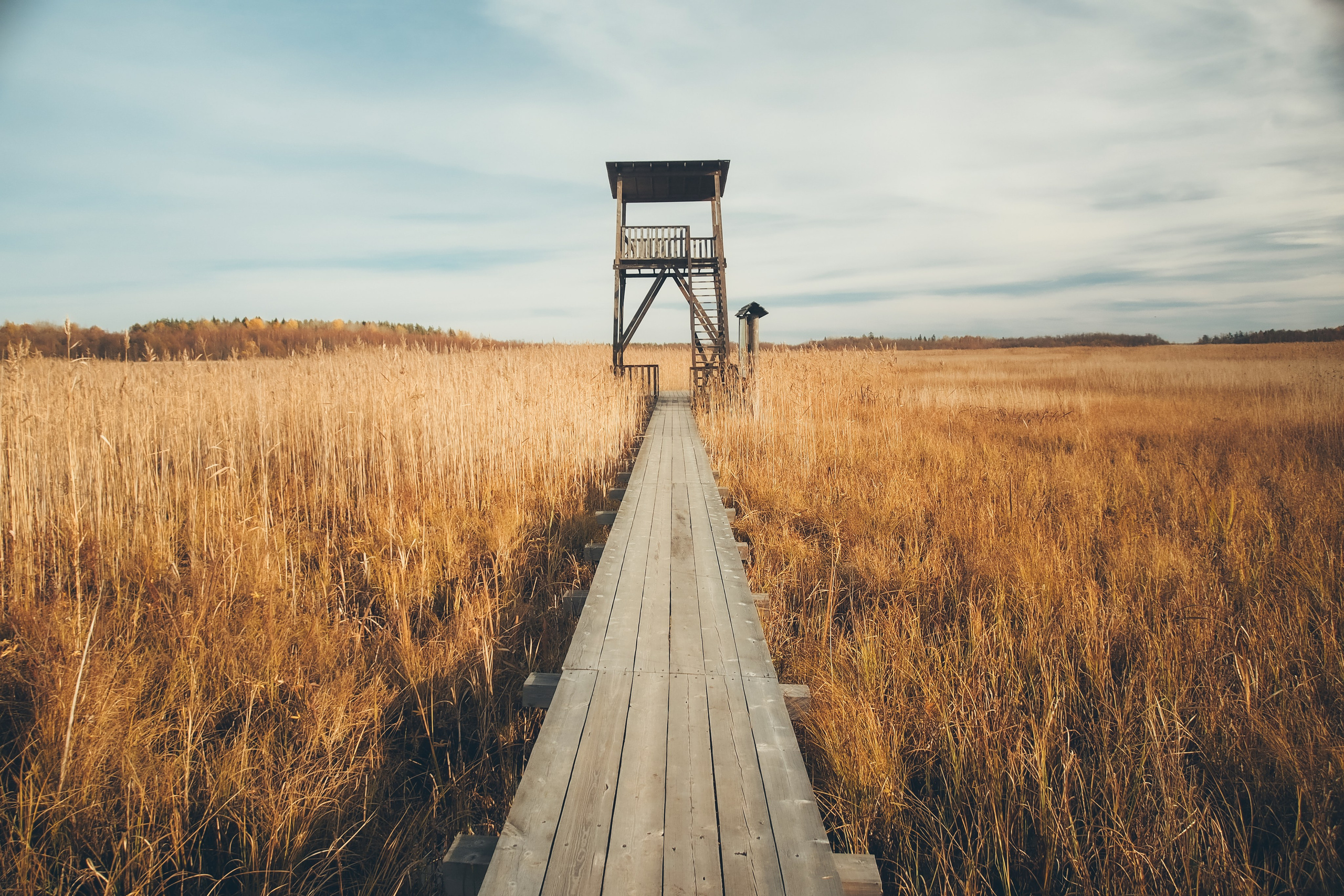 Раковые озера. Свадебный фотограф Копков Геннадий