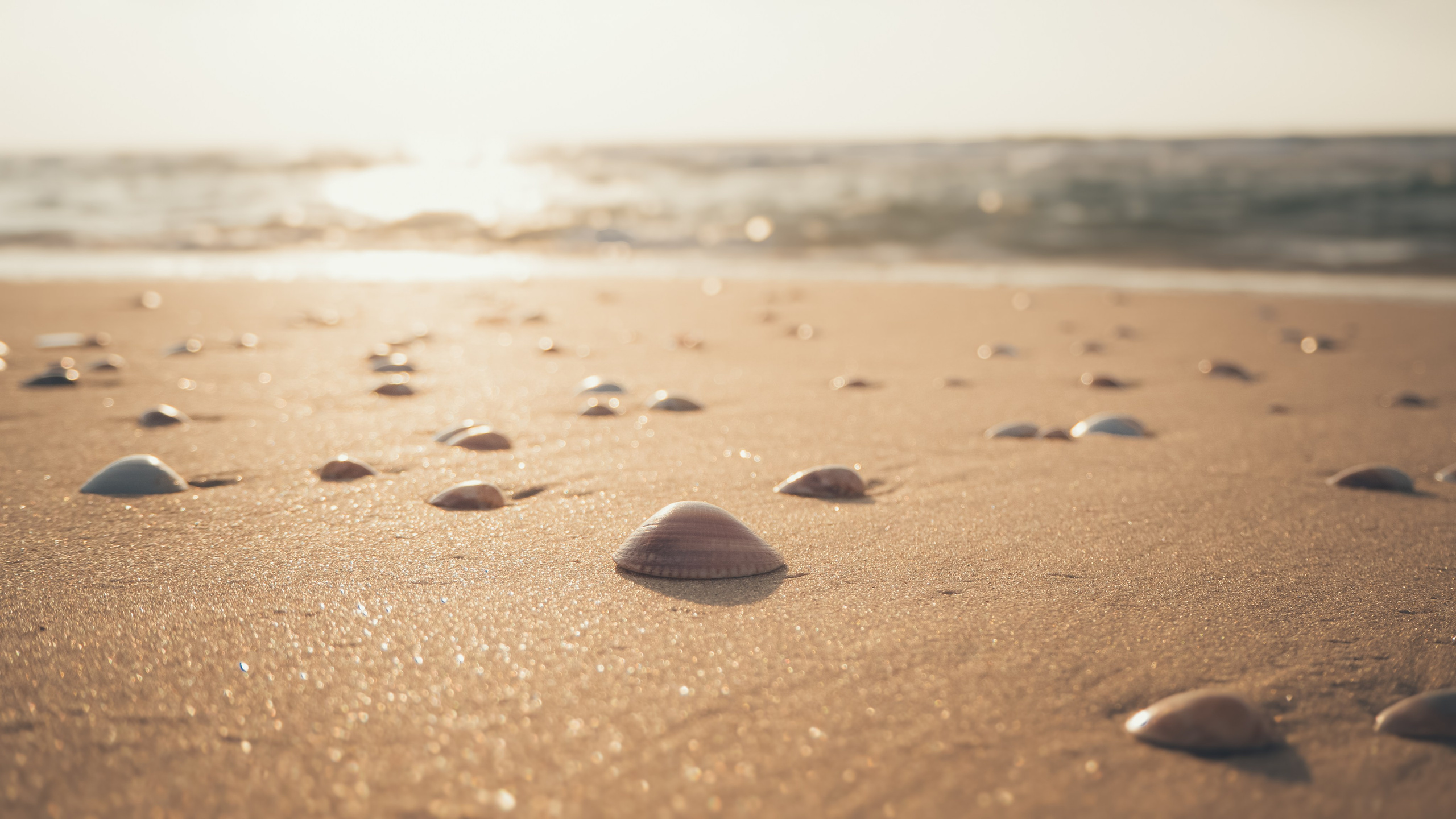 Израиль. Свадебный фотограф Копков Геннадий