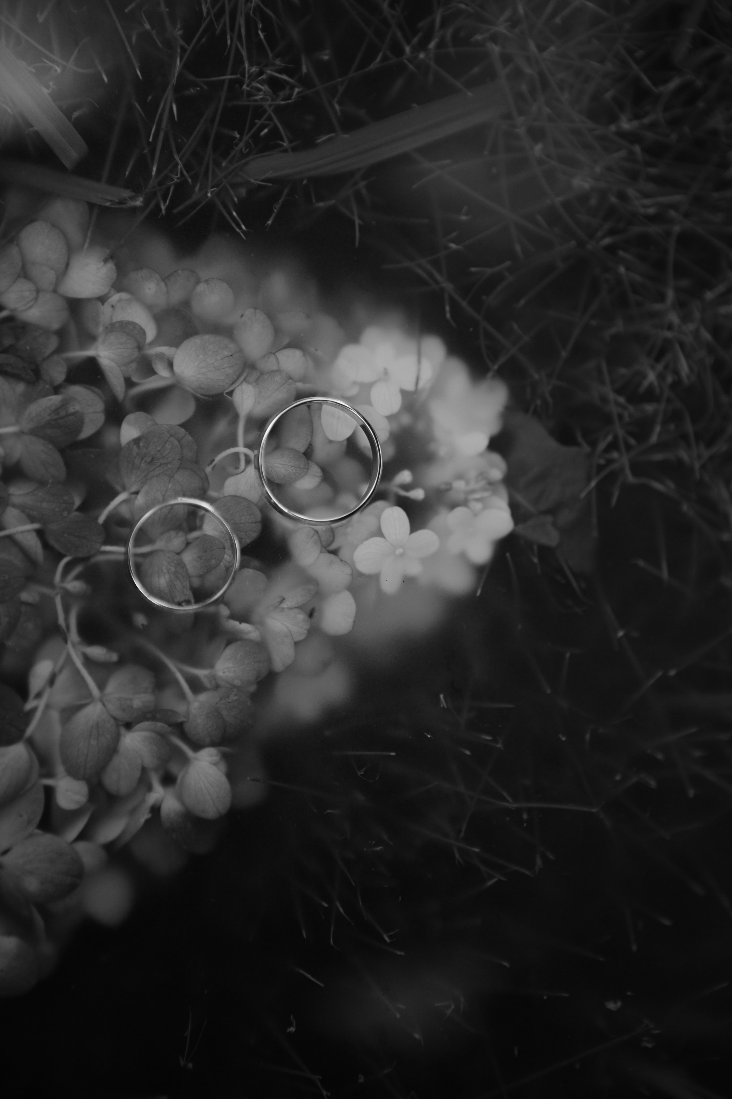 Свадьба Александра и Полины. Фотограф Кольчугино/Владимир/Москва Елизавета Иода