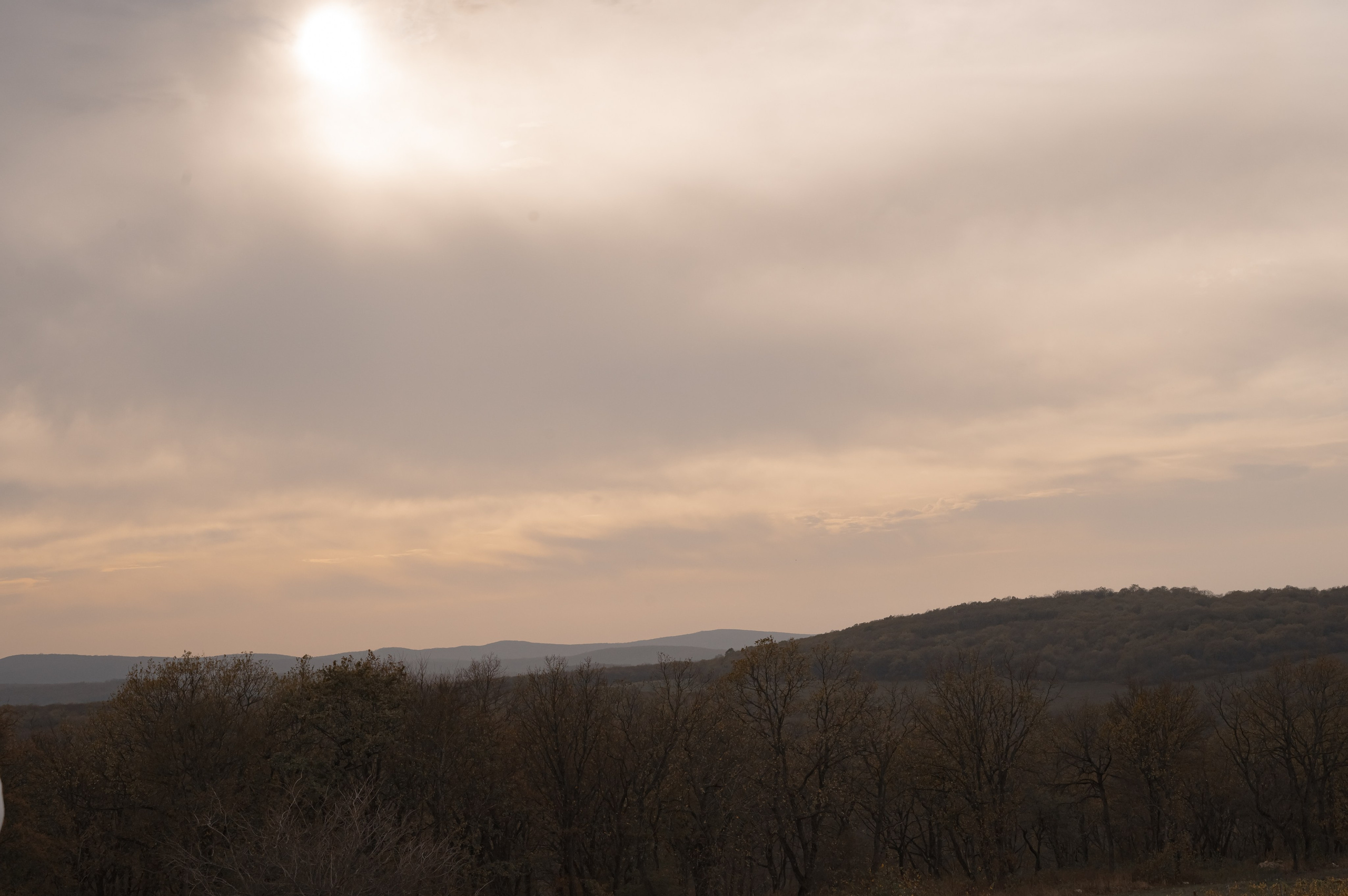 Стас и Саша. Свадебный фотограф и видеограф