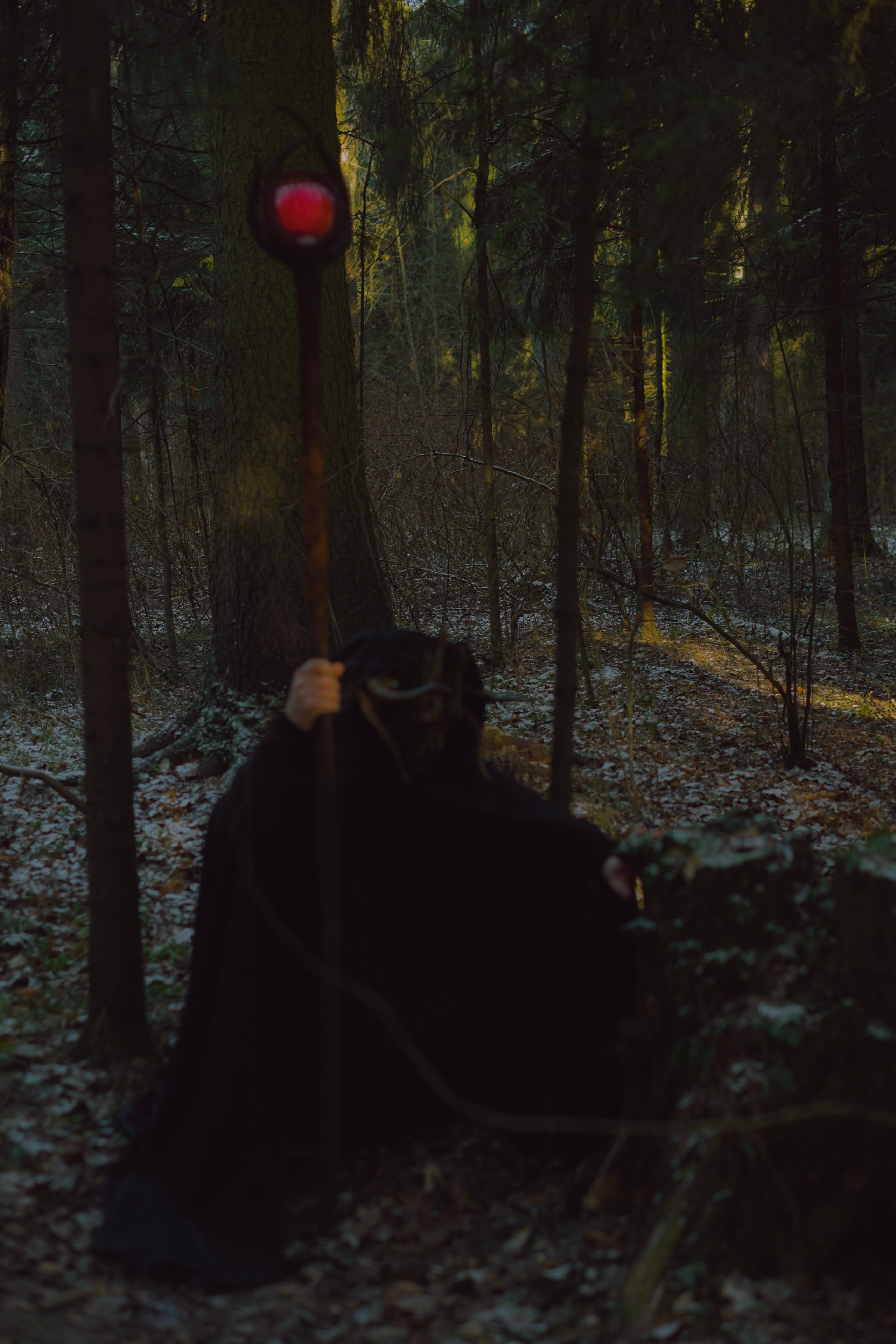 «Дух леса». Фотограф (Москва, Мытищи)— Комова Анастасия