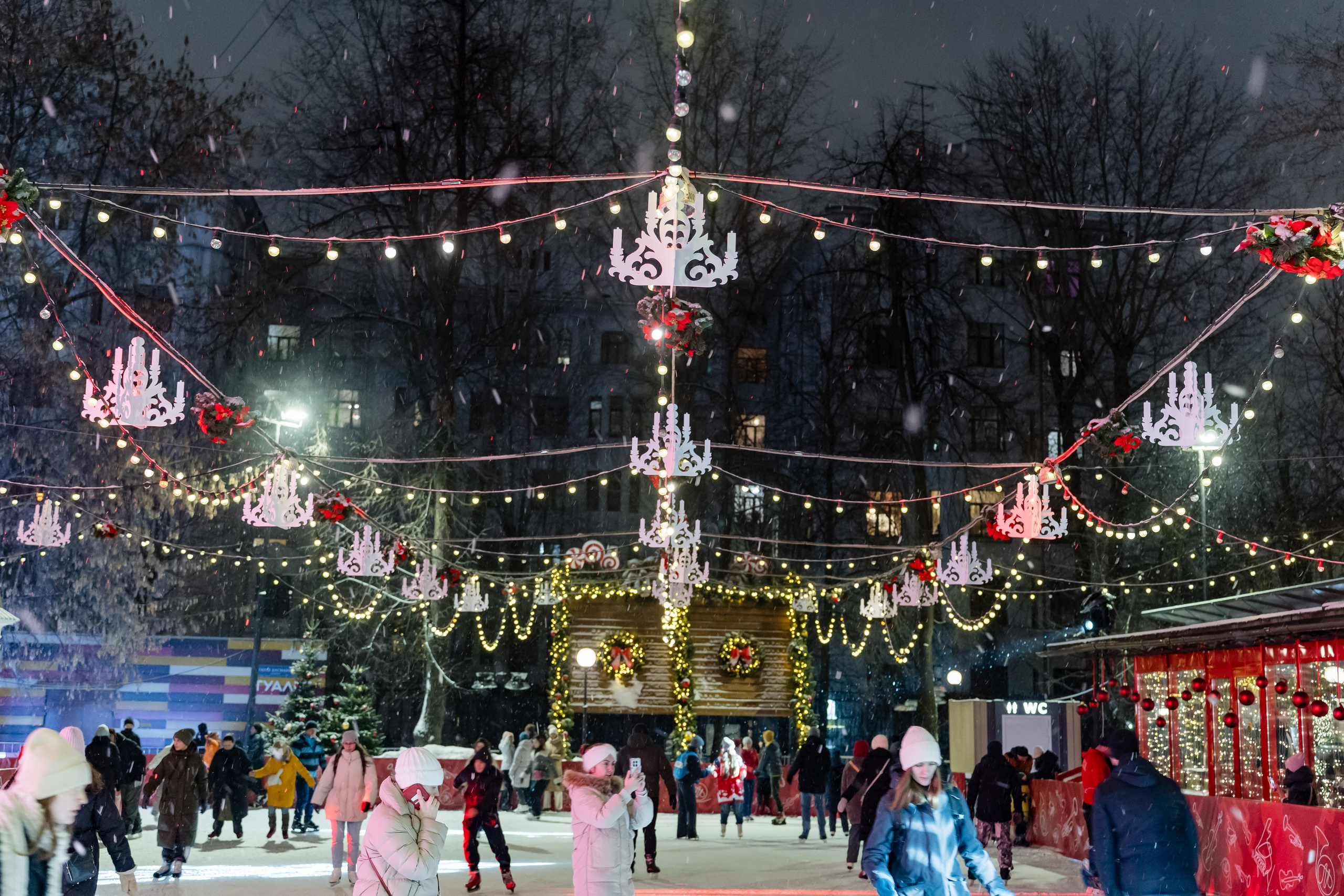 Ледяная симфония. Сад им. Баумана. 04.01.2025
