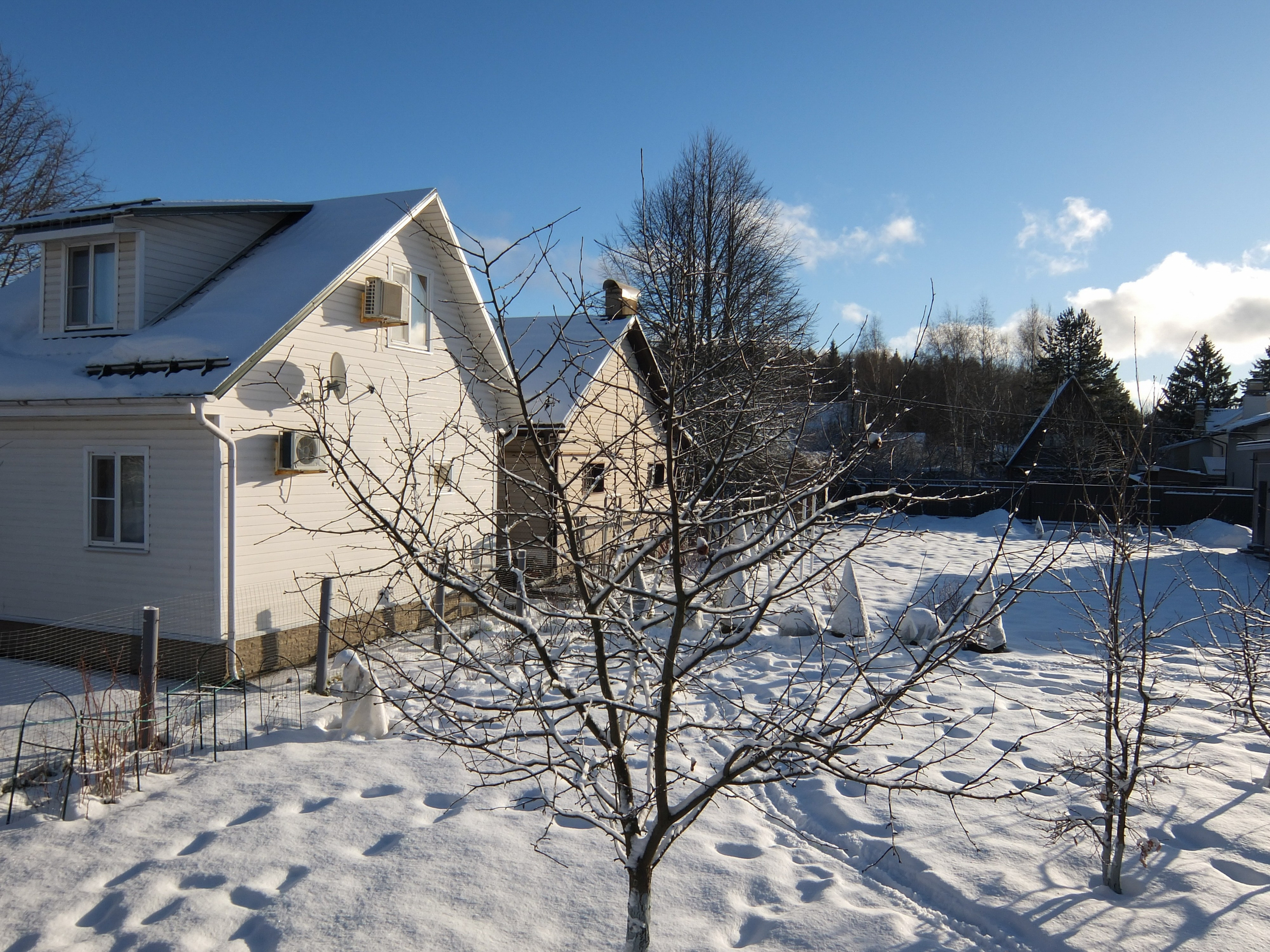 Солнечный день Нового Года. Фотограф-документалист Мария Осокина