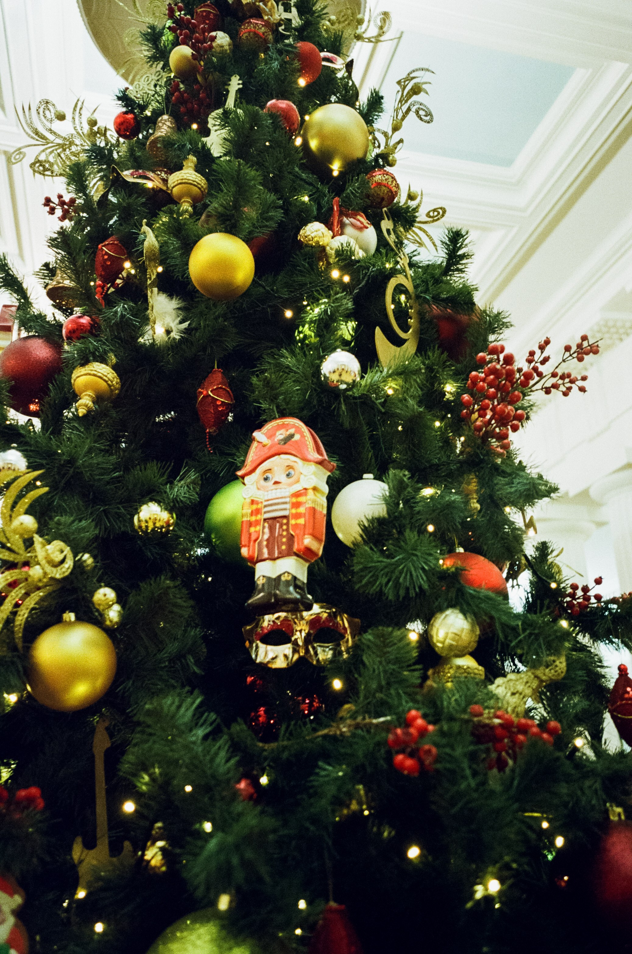 Рождество в Консерватории. Фотограф-документалист Мария Осокина