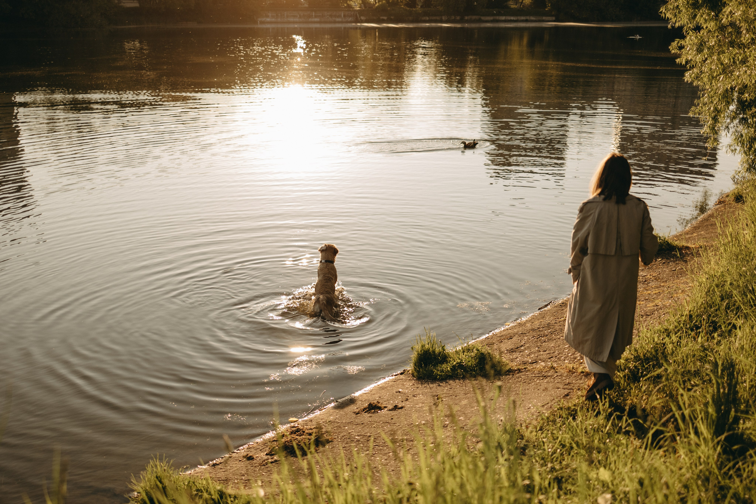 Пенни и ребята. Фотограф — Анималист | Санкт-Петербург