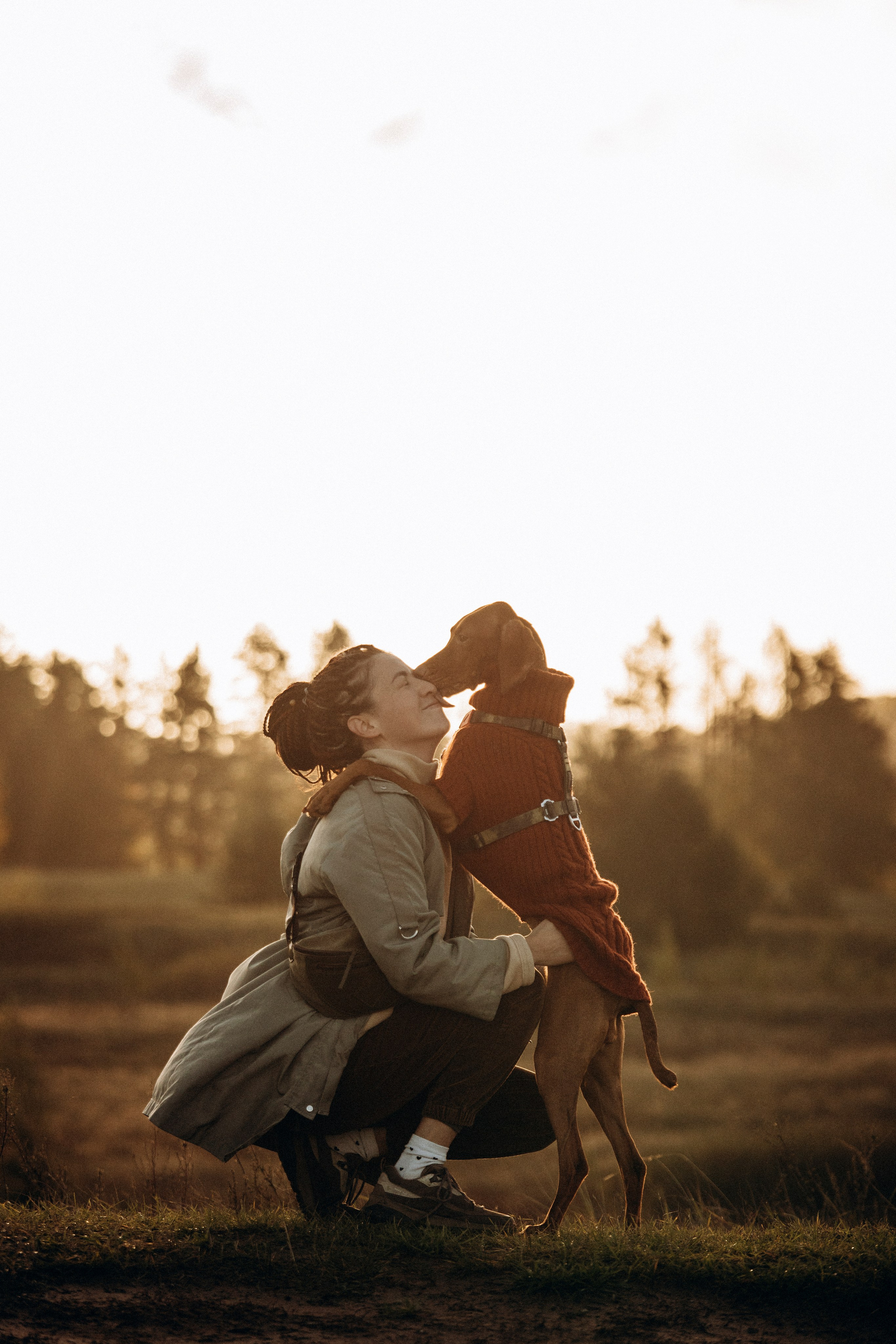 Трисс, Эста, Яся и их семья. Фотограф — Анималист | Санкт-Петербург