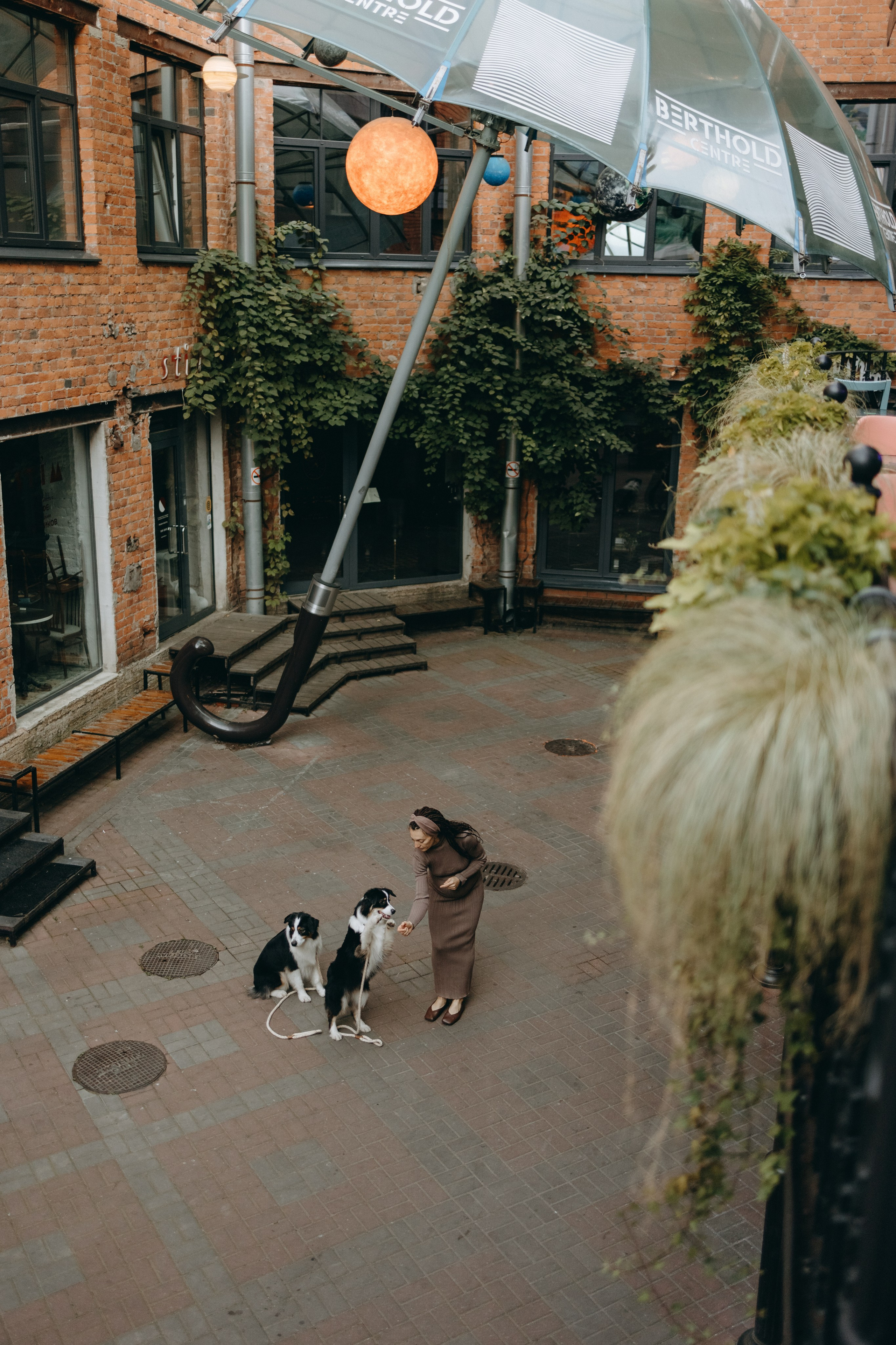 Катя и ее девочки. Фотограф — Анималист | Санкт-Петербург