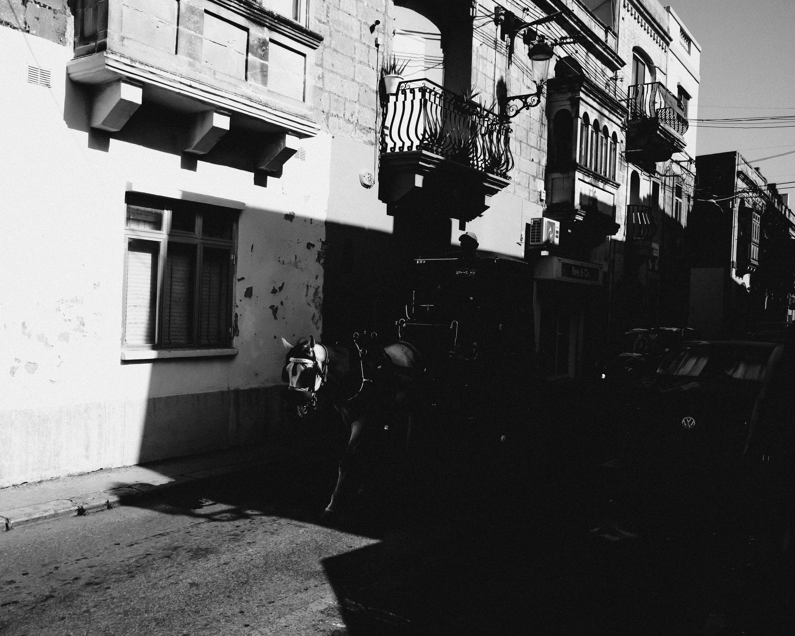 Живые Улицы: Стрит Фотографии Со Всего Мира. Максим Харитончик — фотограф