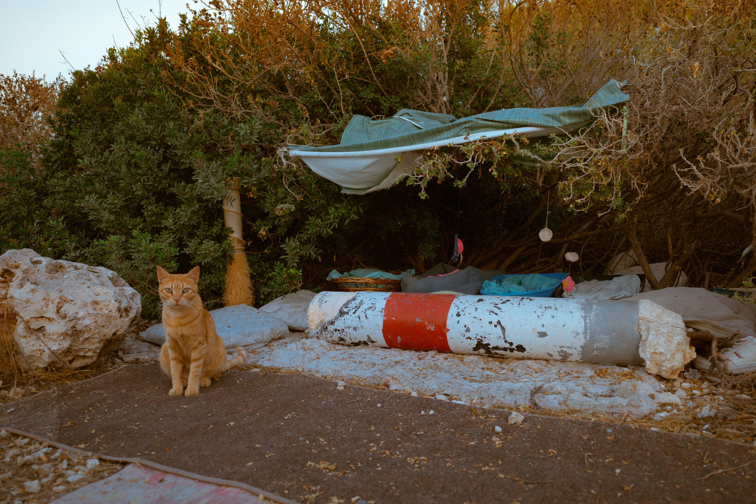 Живые Улицы: Стрит Фотографии Со Всего Мира. Максим Харитончик — фотограф