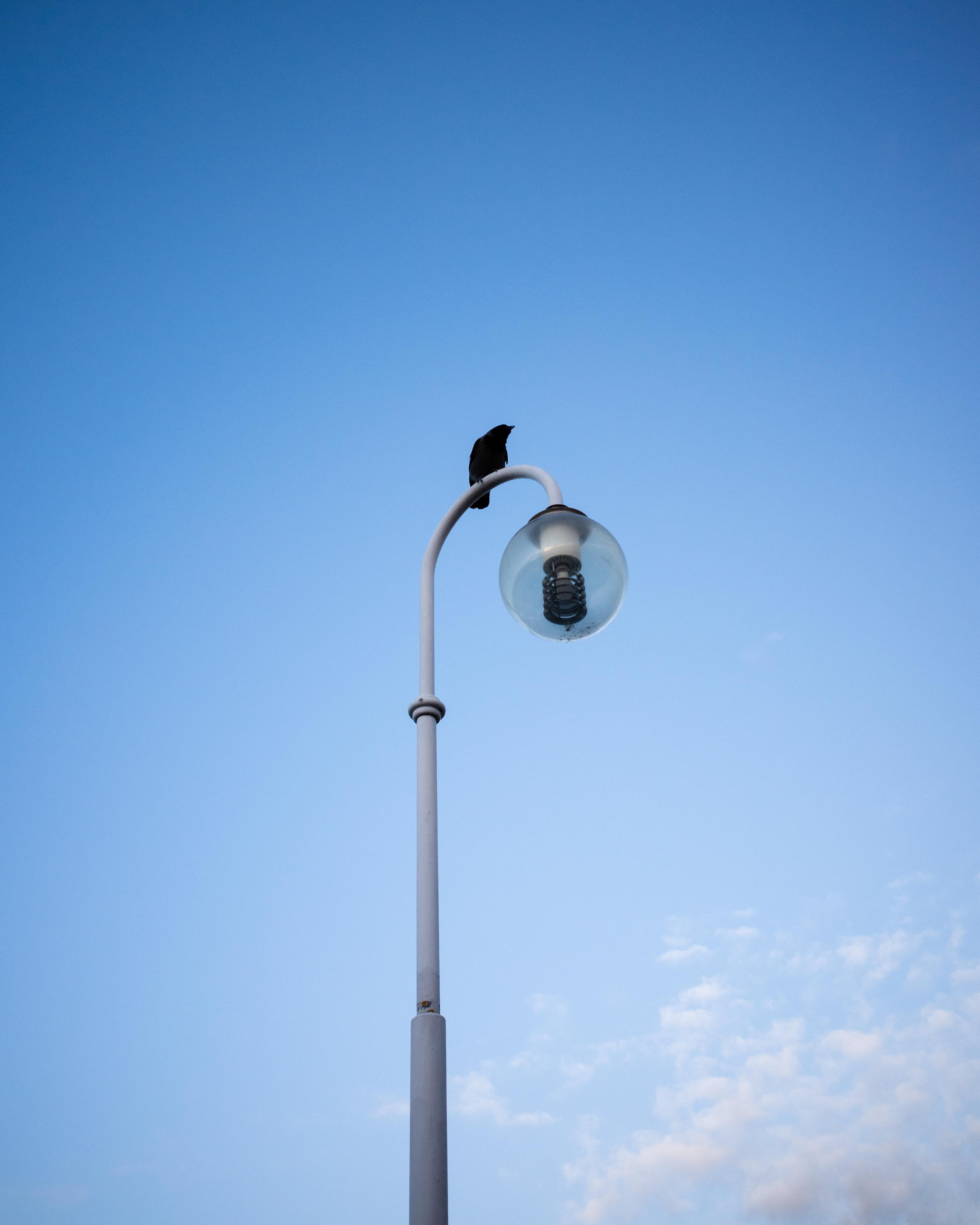 Живые Улицы: Стрит Фотографии Со Всего Мира. Максим Харитончик — фотограф