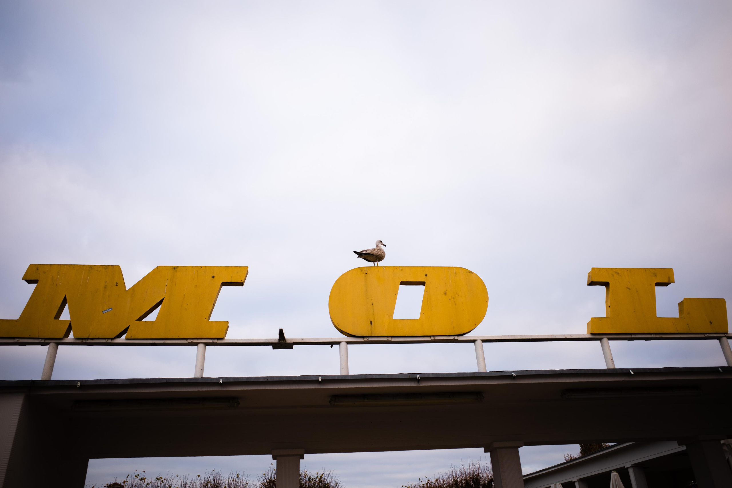 Живые Улицы: Стрит Фотографии Со Всего Мира. Максим Харитончик — фотограф