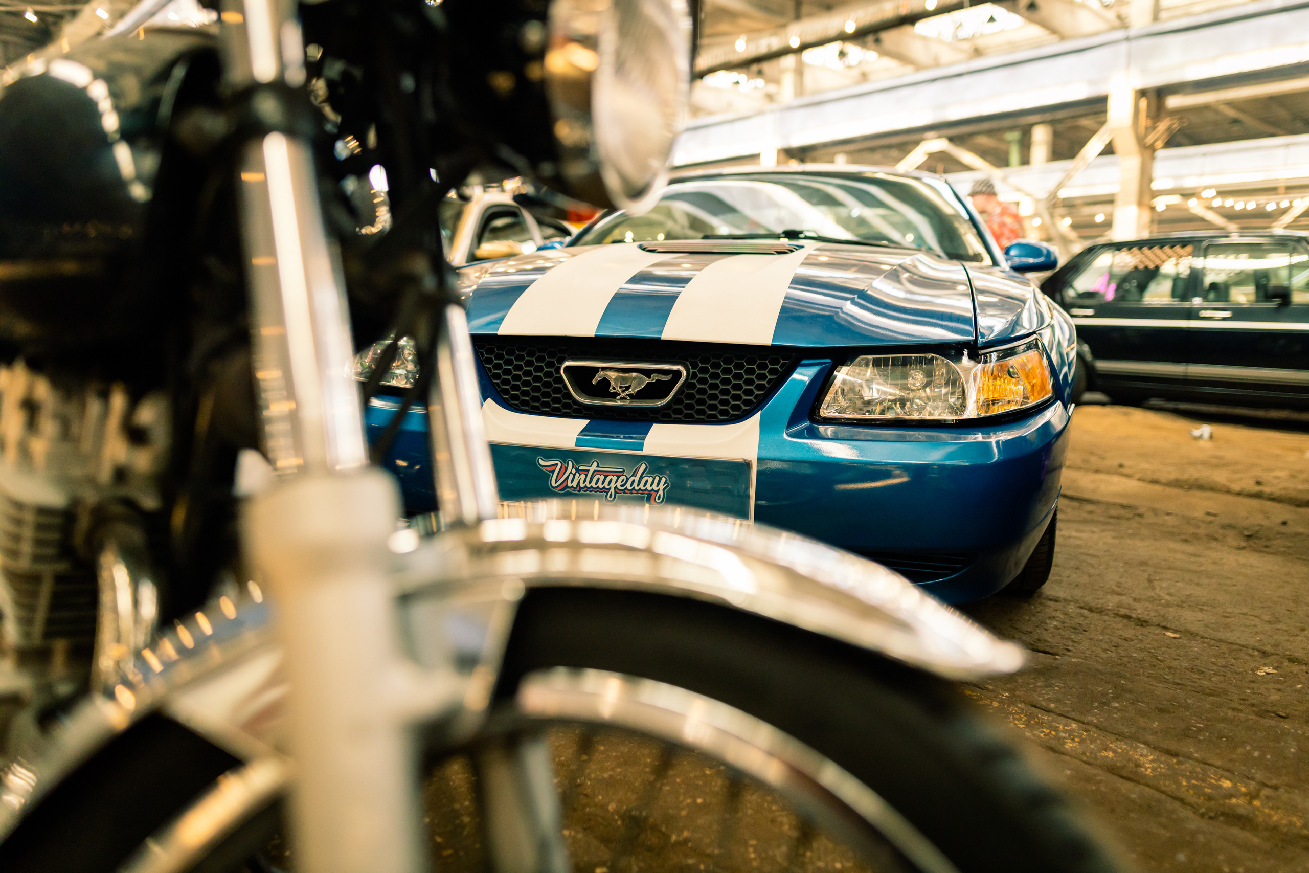 Vingtae Day. Maxim Haritonchik — photographer