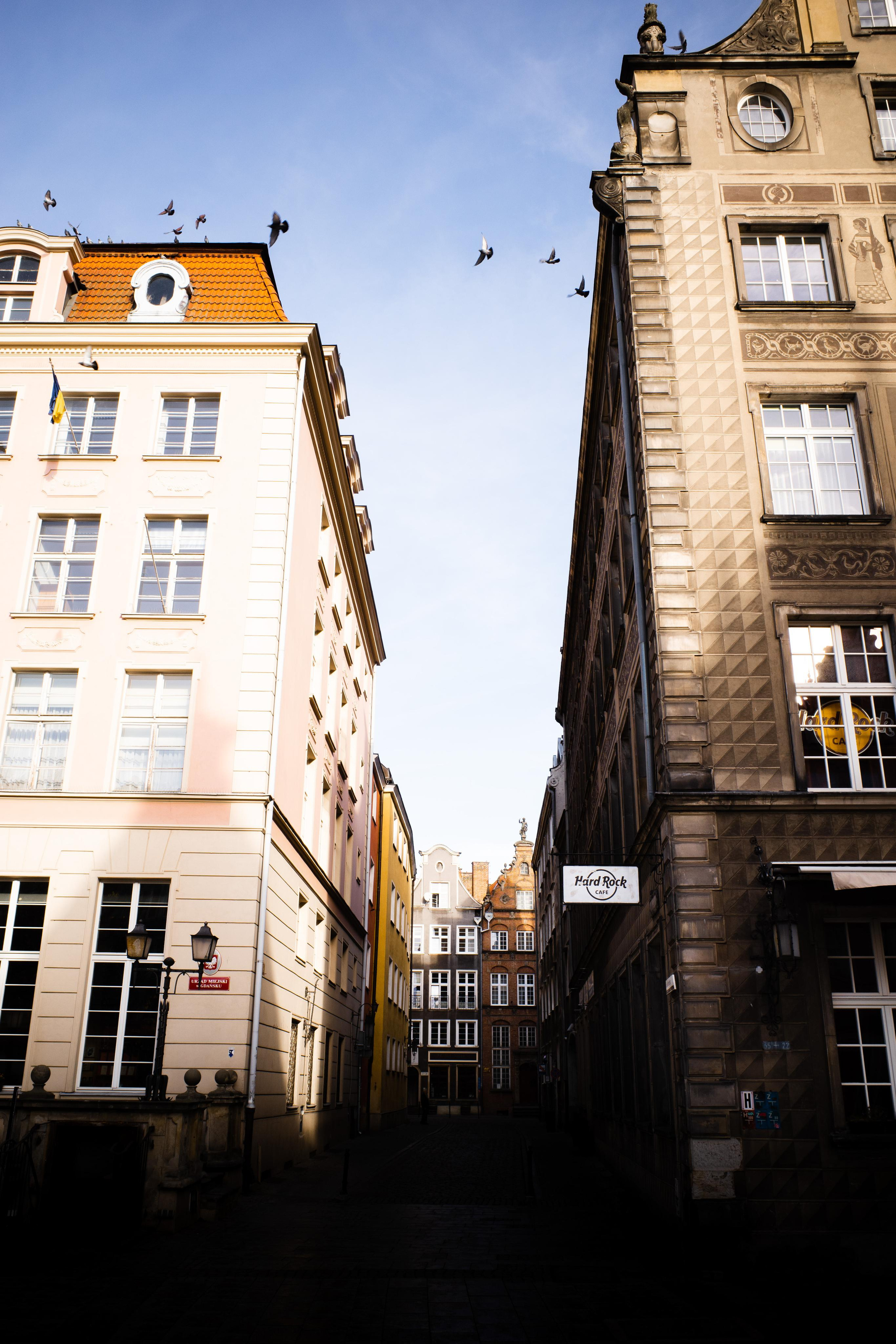 Живые Улицы: Стрит Фотографии Со Всего Мира. Максим Харитончик — фотограф