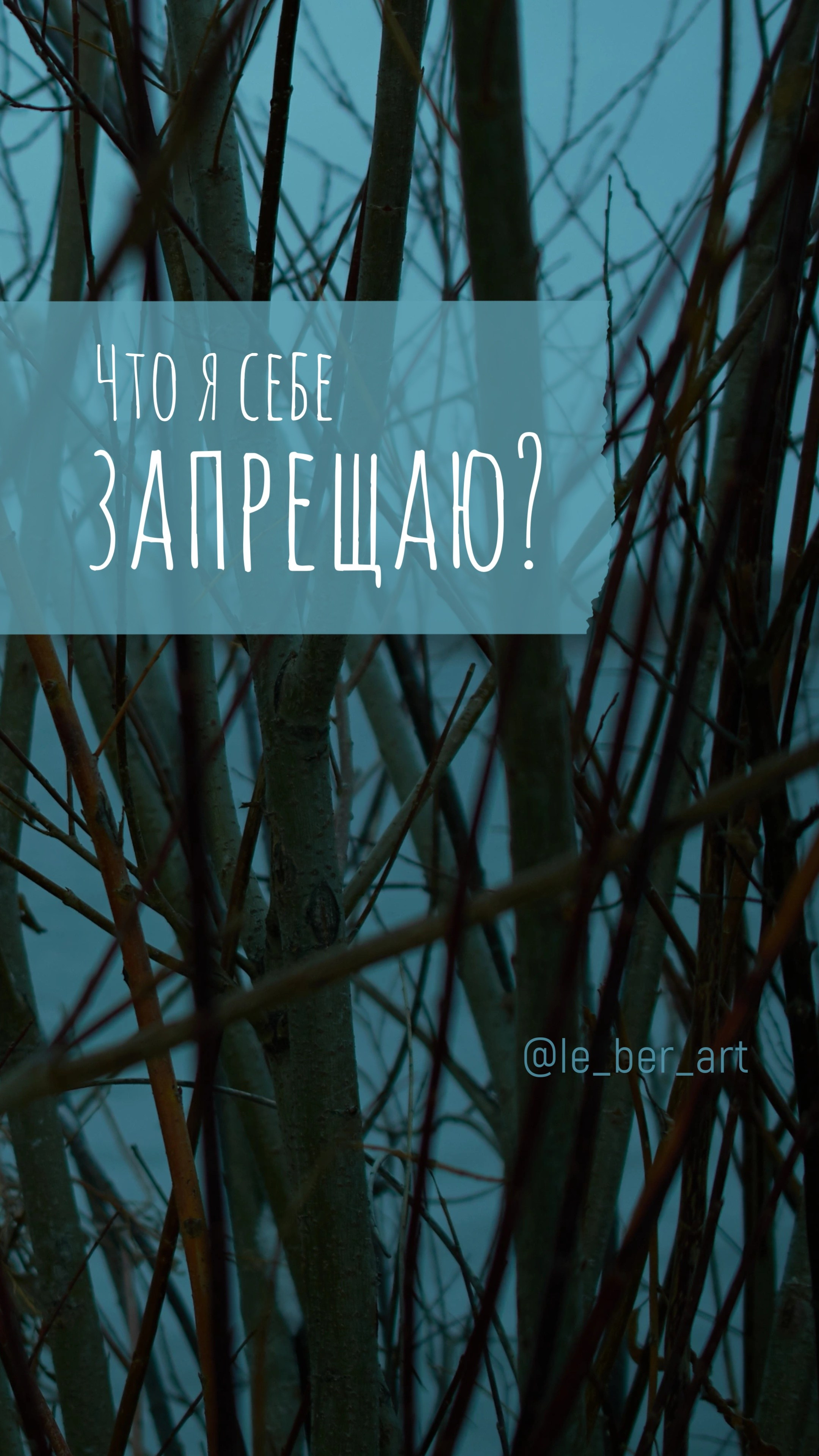 Заставки на телефон. Елена Берсенева, фотограф