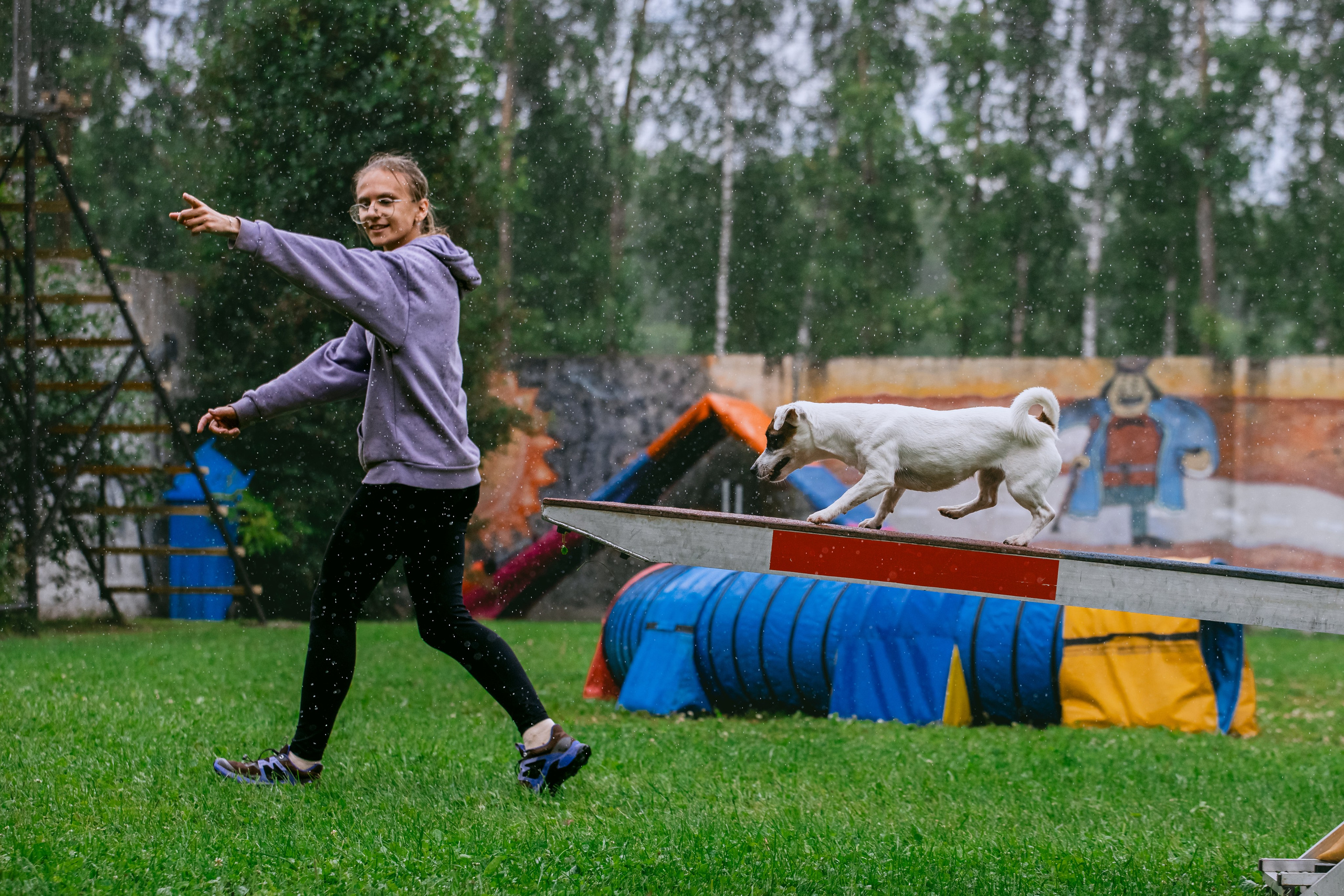 Соревнования по аджилити Долгопрудный 30.06.2025. Фотограф-анималист Татьяна Степанова