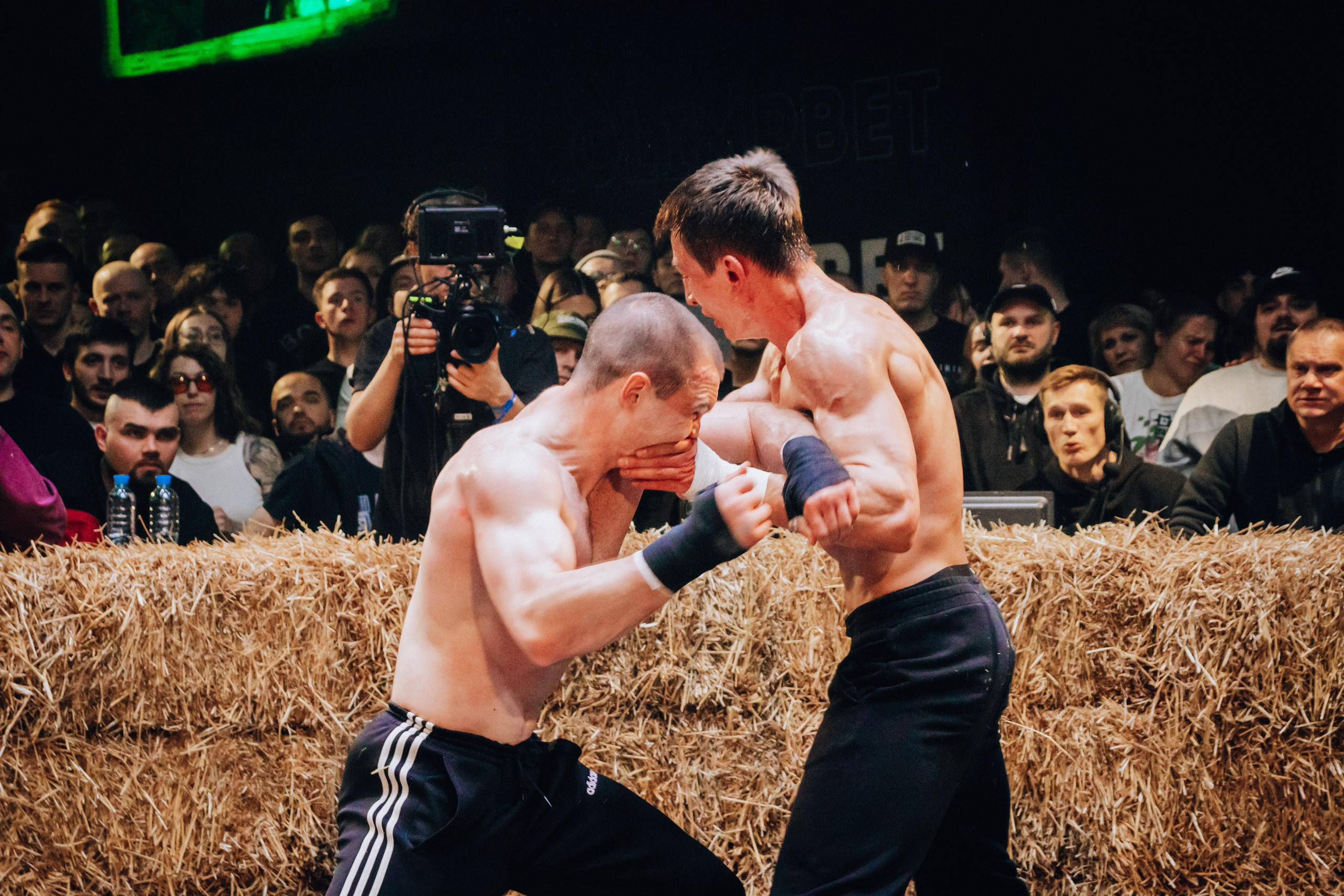 Кулачные бои TopDog. Анастасия Тен