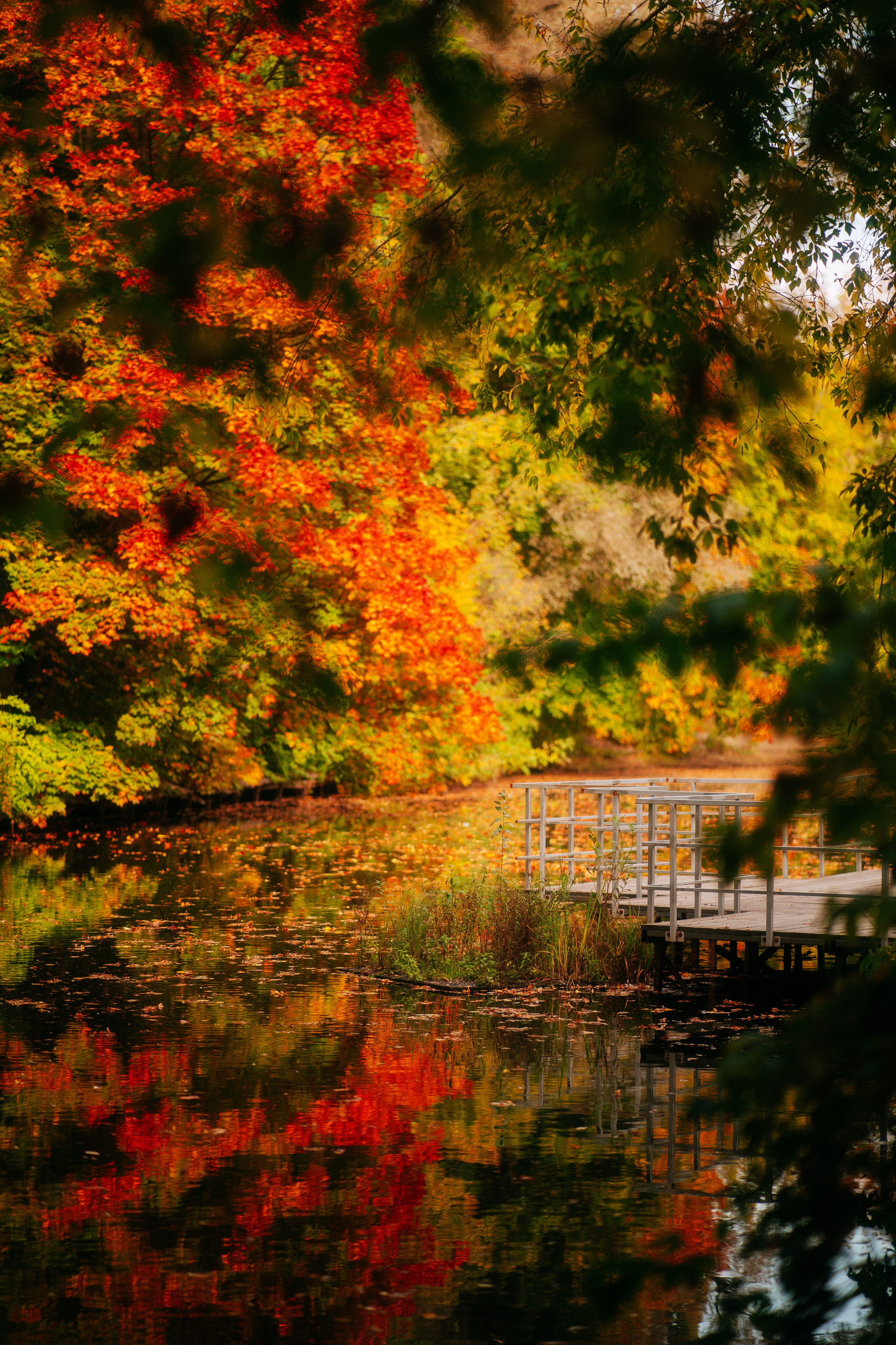 Москва. Фотограф Екатерина Катунова | Москва
