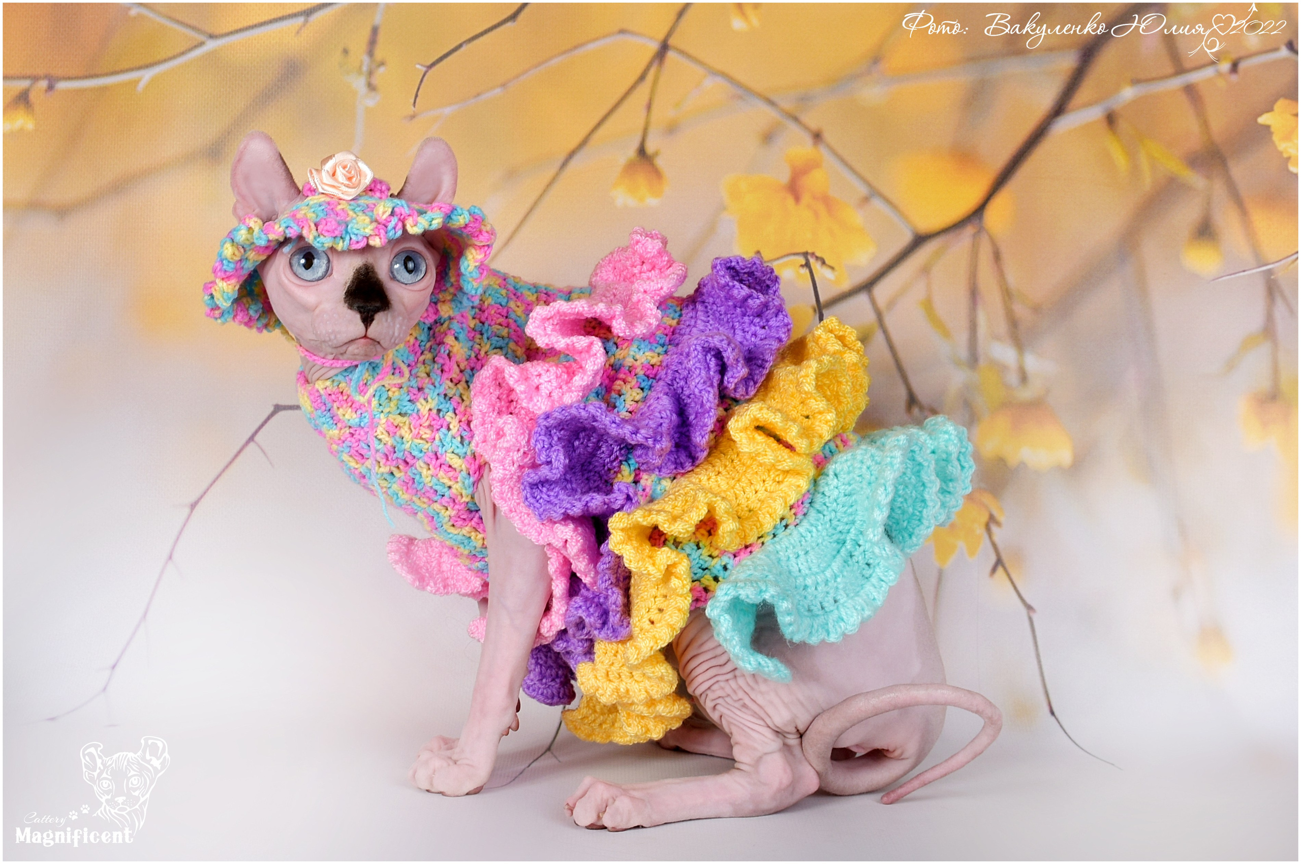 Взрослые. Фотограф анималист | семейный Юлия Вакуленко, г. Краснодар