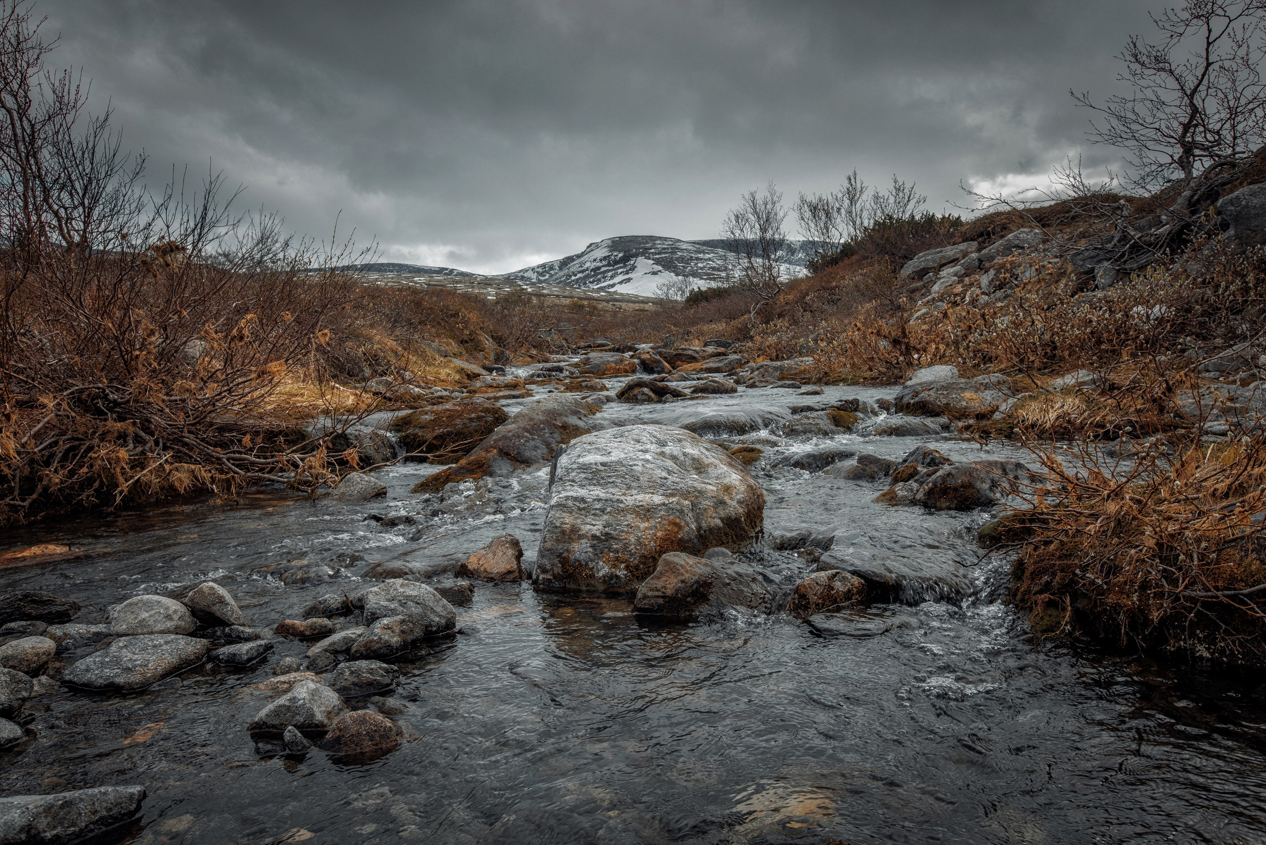 Пейзаж. Детская Конная фотография в Москве Юлия Шепелева