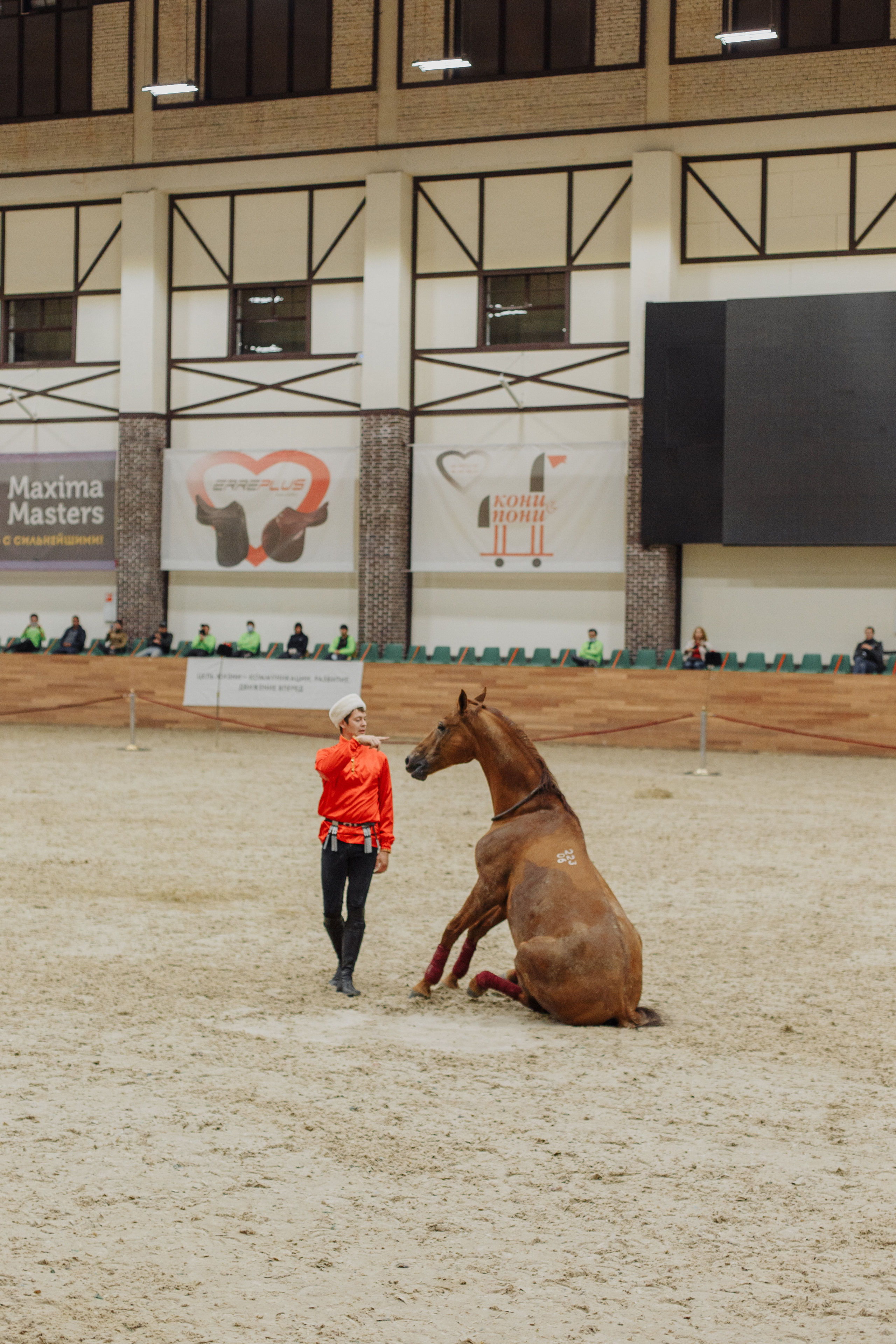 День рождения Анечки. Свадебный и портретный фотограф в Королёве Сергей Чихарев